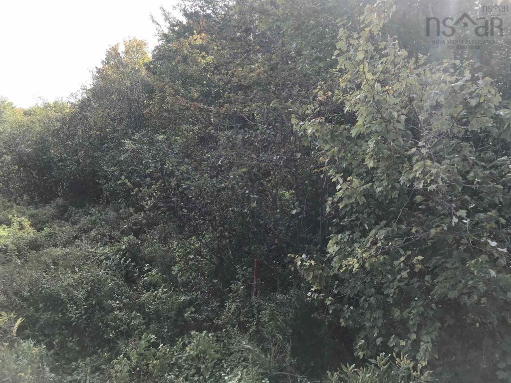 $24,999.00: 2.3 Acres Highway 308, Tusket