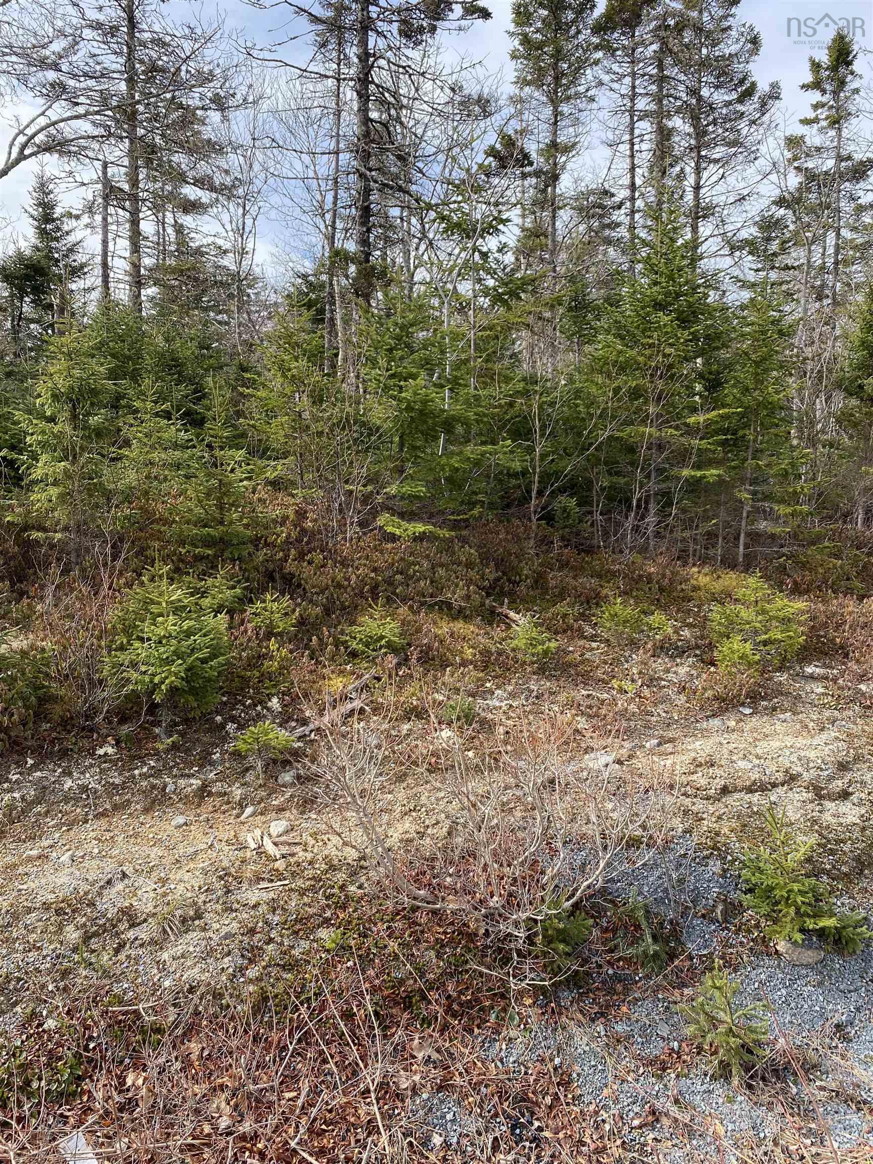 Lot 109 337 Toni Drive, Boutiliers Point, NS (MLS® 202406861)