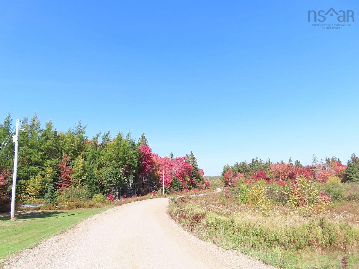 $185,000.00: 62 Acres West Side Road, West Side Country Harbour