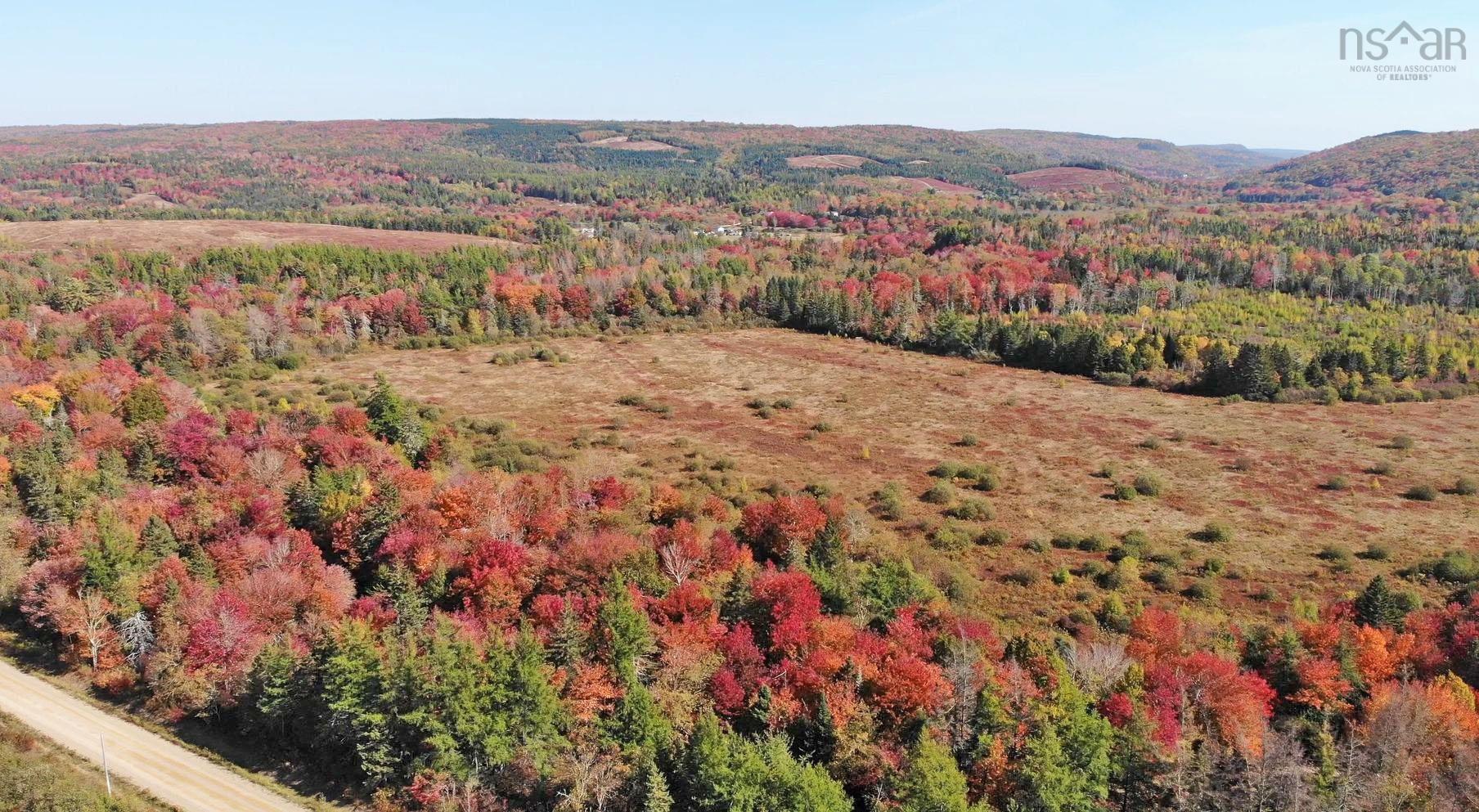 $185,000.00: 62 Acres West Side Road, West Side Country Harbour