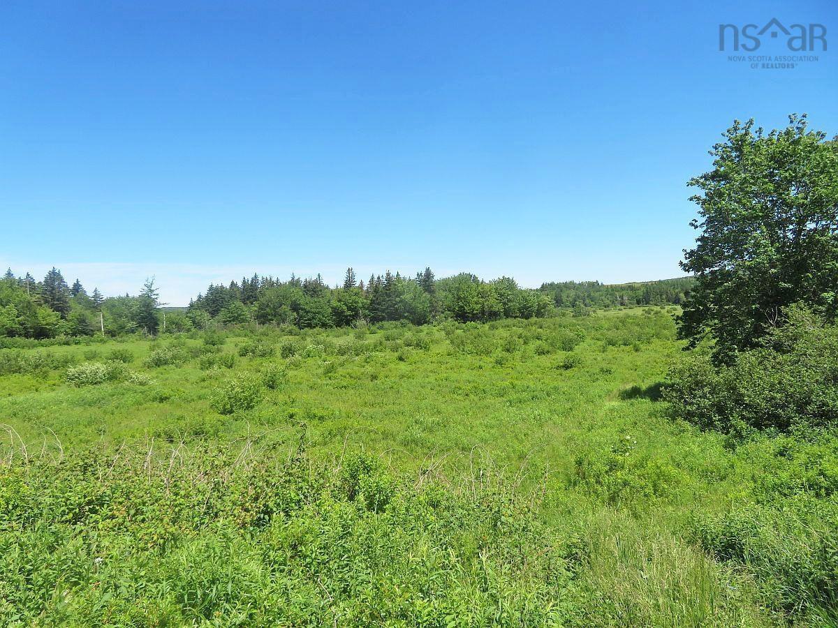 $185,000.00: 62 Acres West Side Road, West Side Country Harbour
