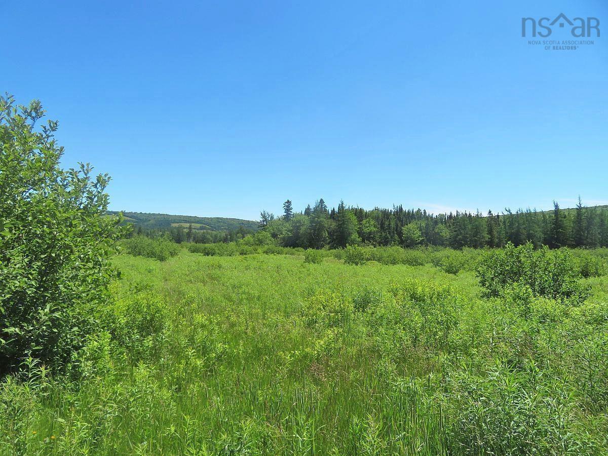 $185,000.00: 62 Acres West Side Road, West Side Country Harbour