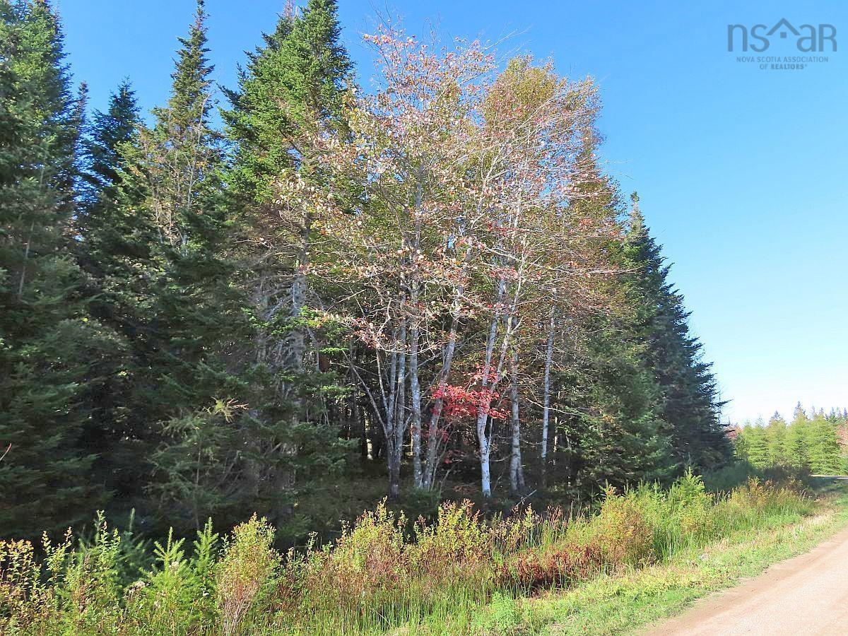 $16,000.00: Lot 49 Lucas Lane Road, Cleveland