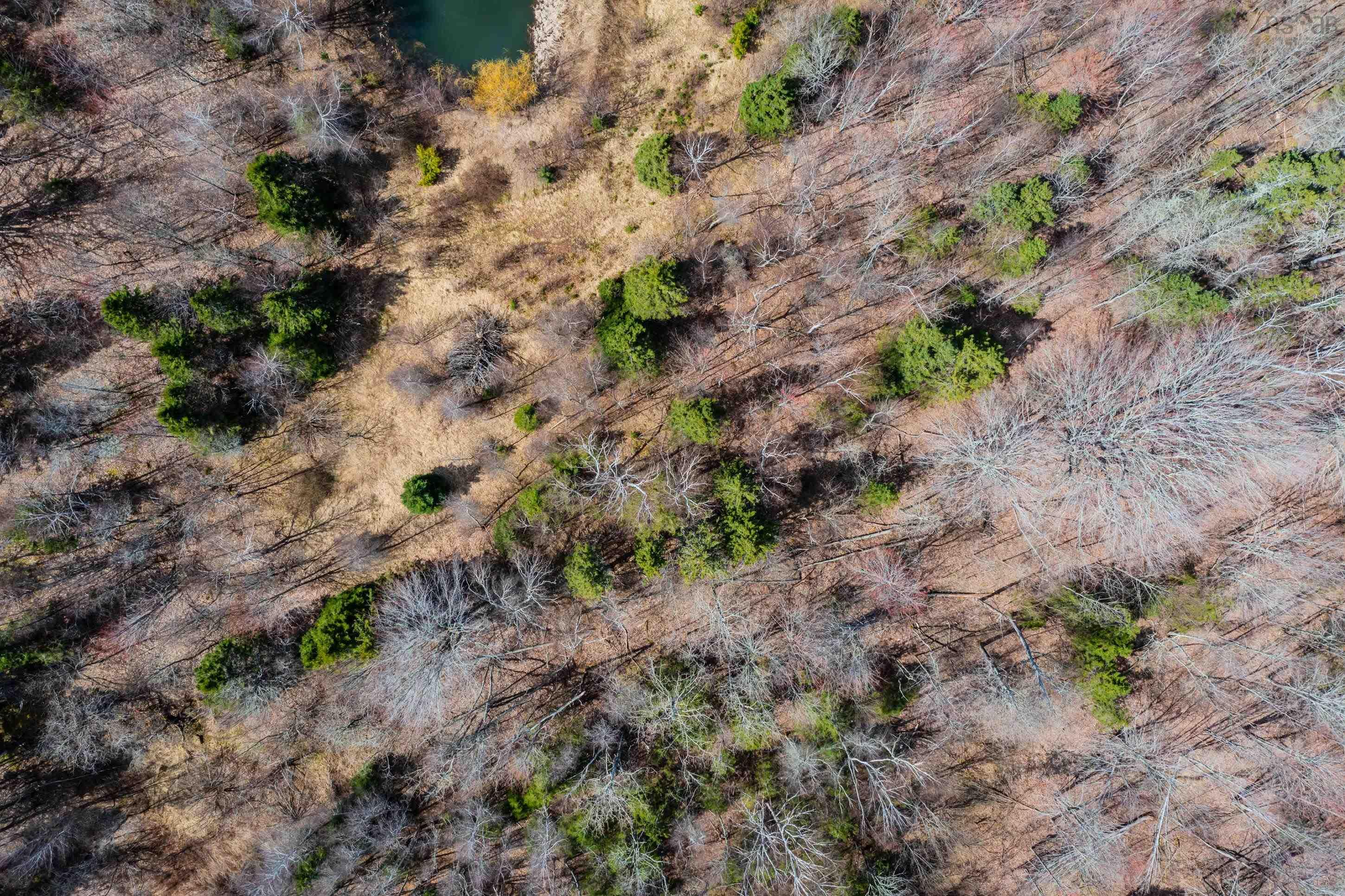 $65,000.00: 24.3 Lots Hansford Road, Victoria