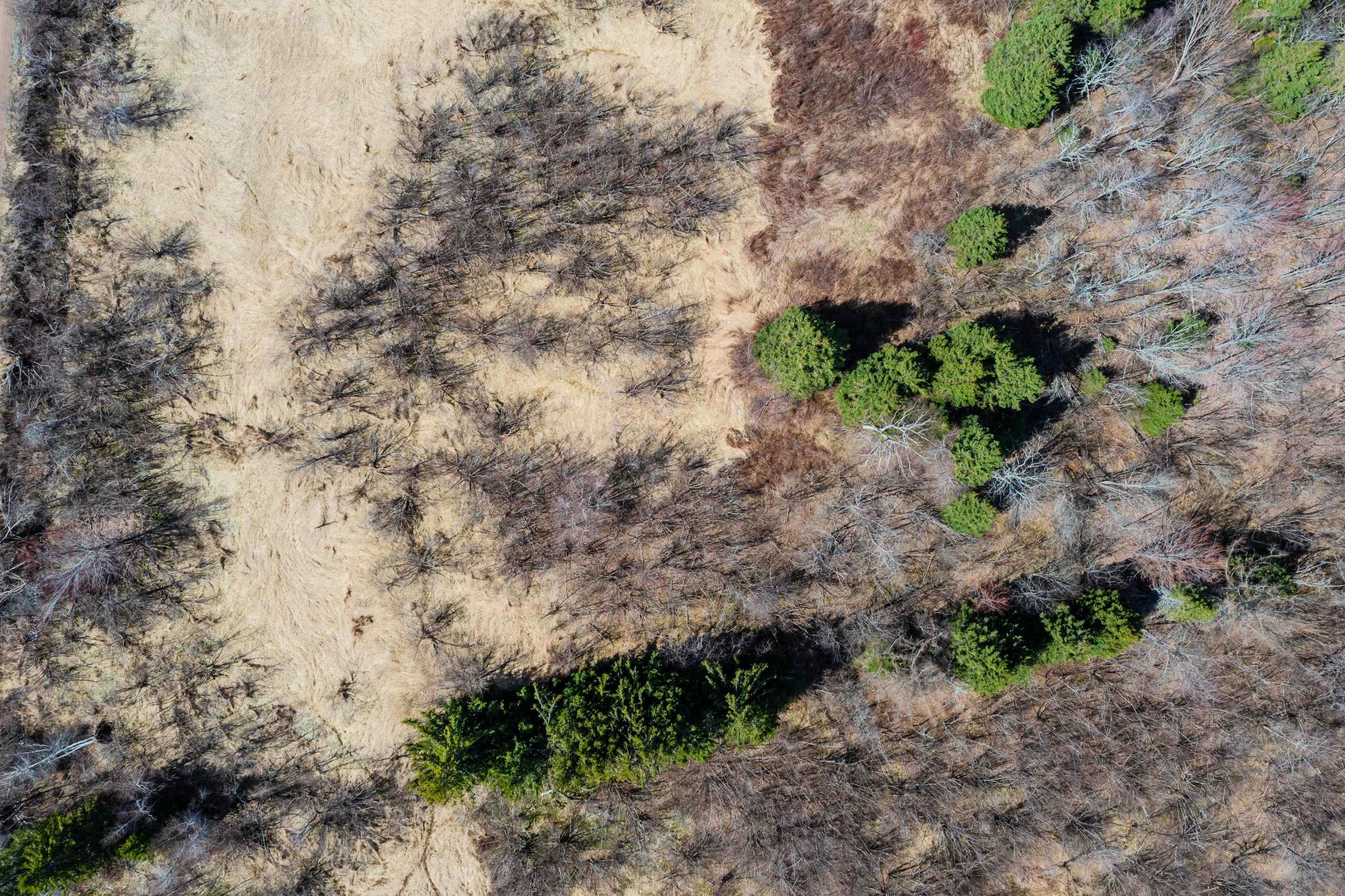 $65,000.00: 24.2 Lots Hansford Road, Victoria