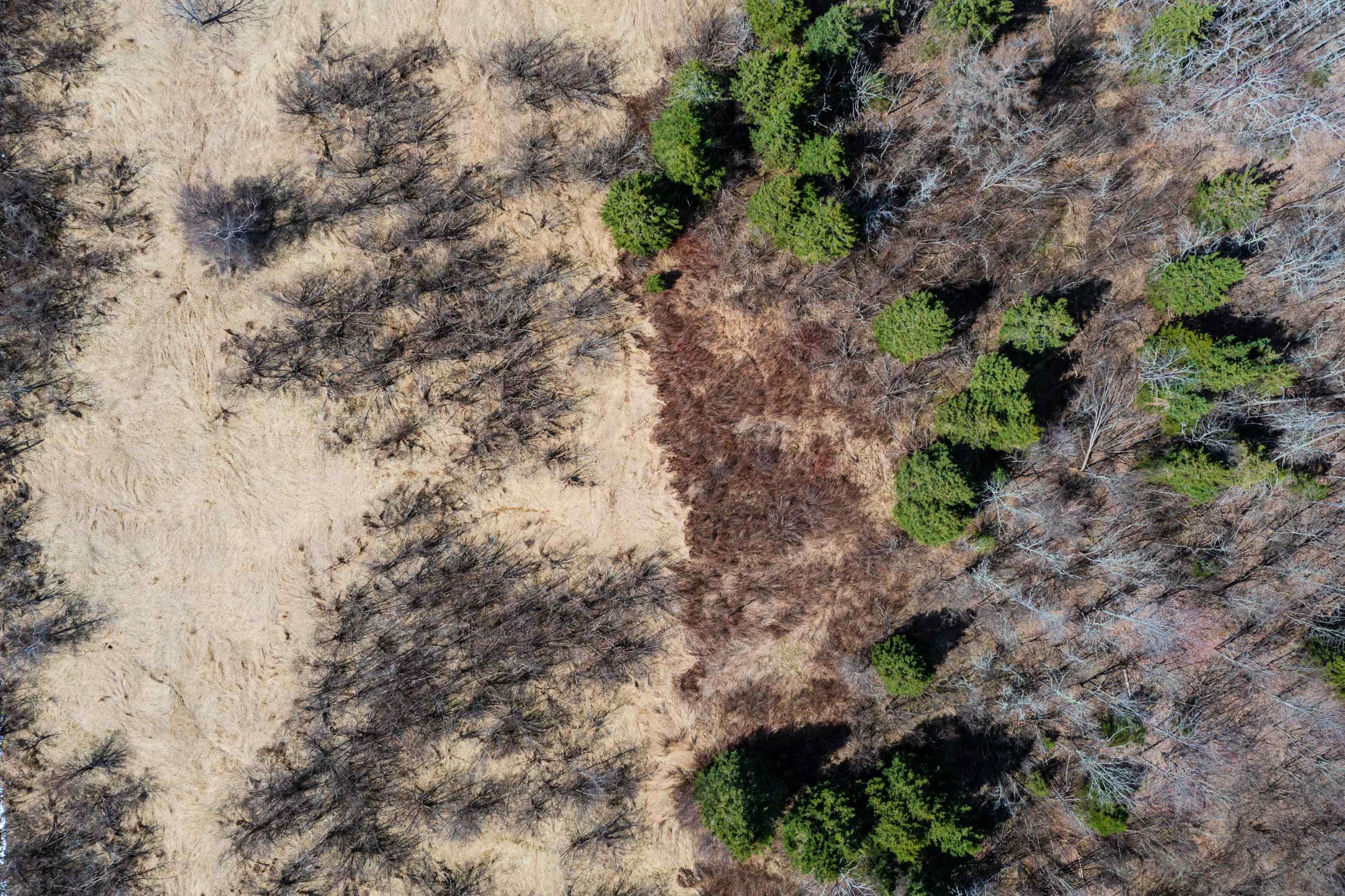 $65,000.00: 24.2 Lots Hansford Road, Victoria