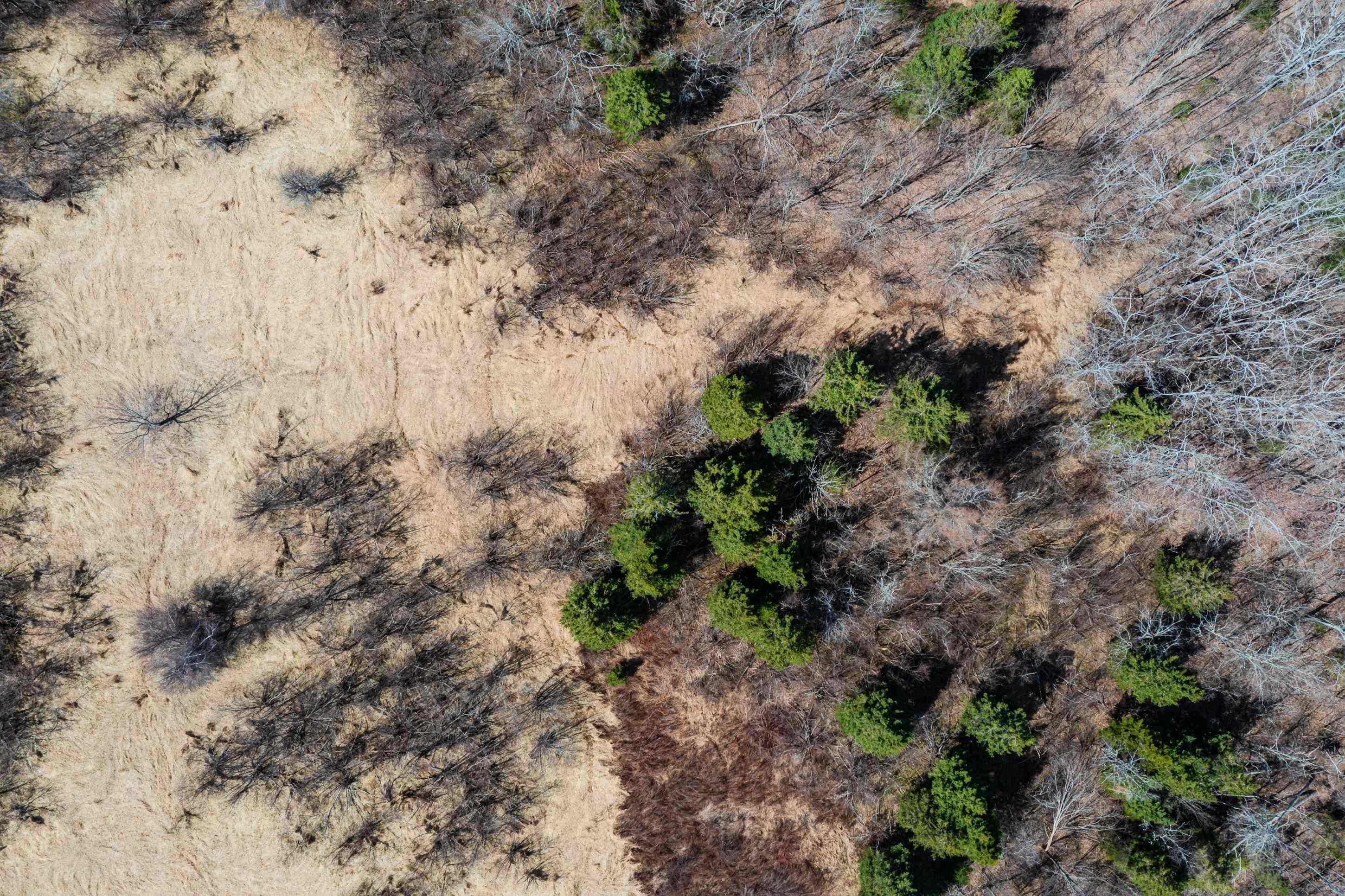 $65,000.00: 24.2 Lots Hansford Road, Victoria