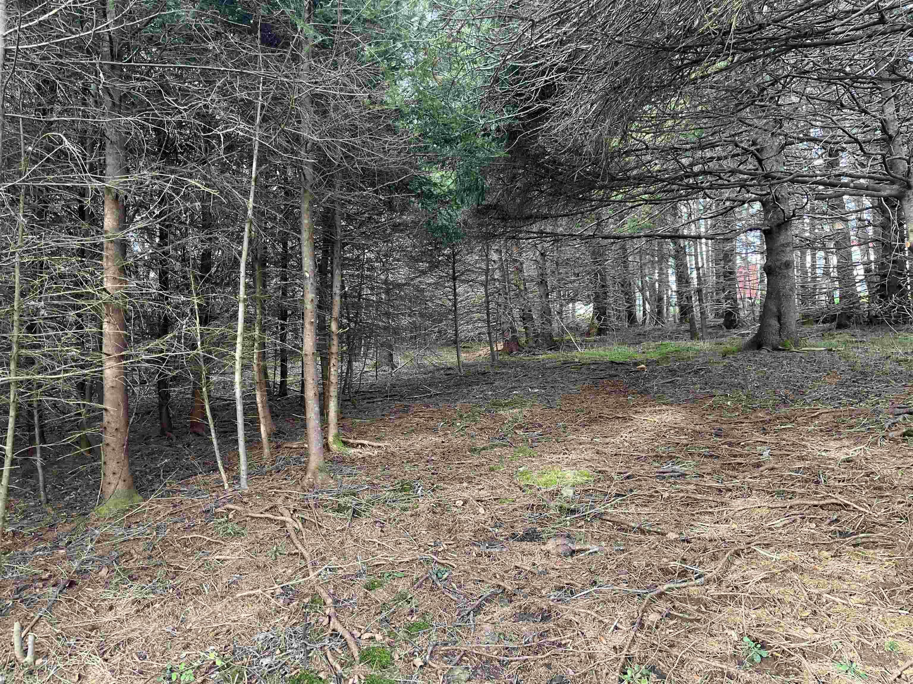 $129,900.00: 539 Northside River Bourgeois Road, River Bourgeois