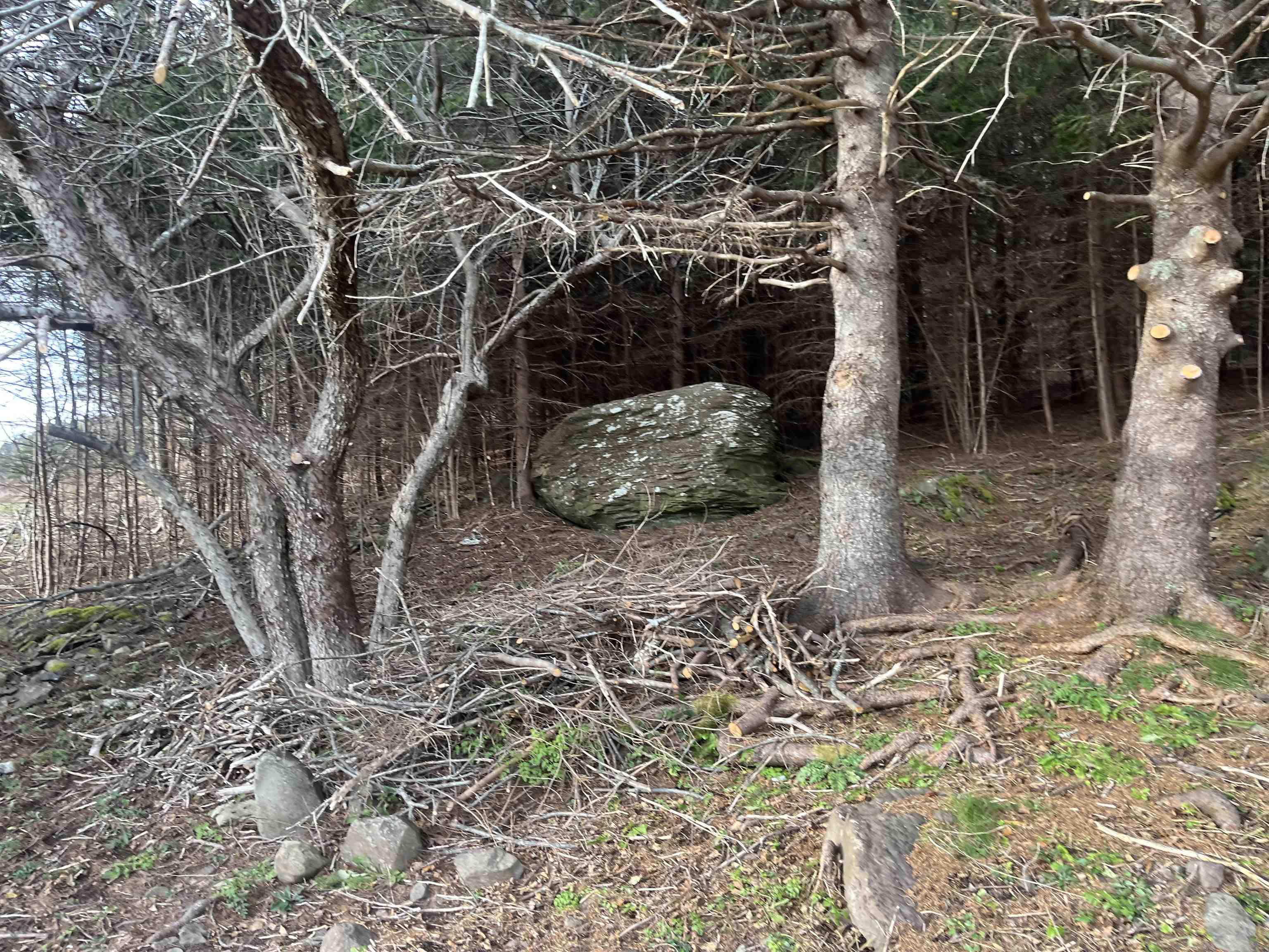 $129,900.00: 539 Northside River Bourgeois Road, River Bourgeois