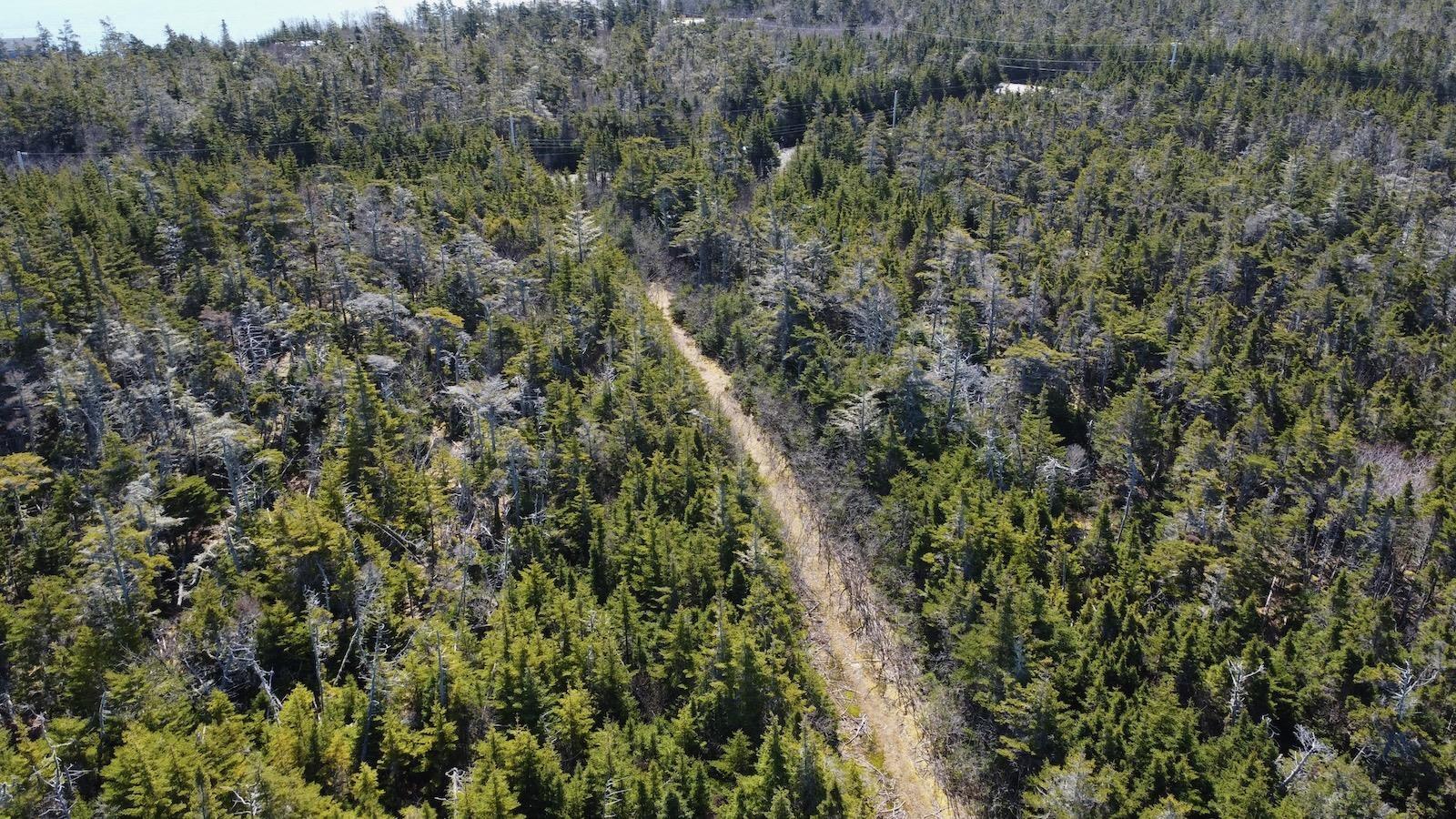 $139,900.00: Lot 7 Gerry Lane, Cape Forchu