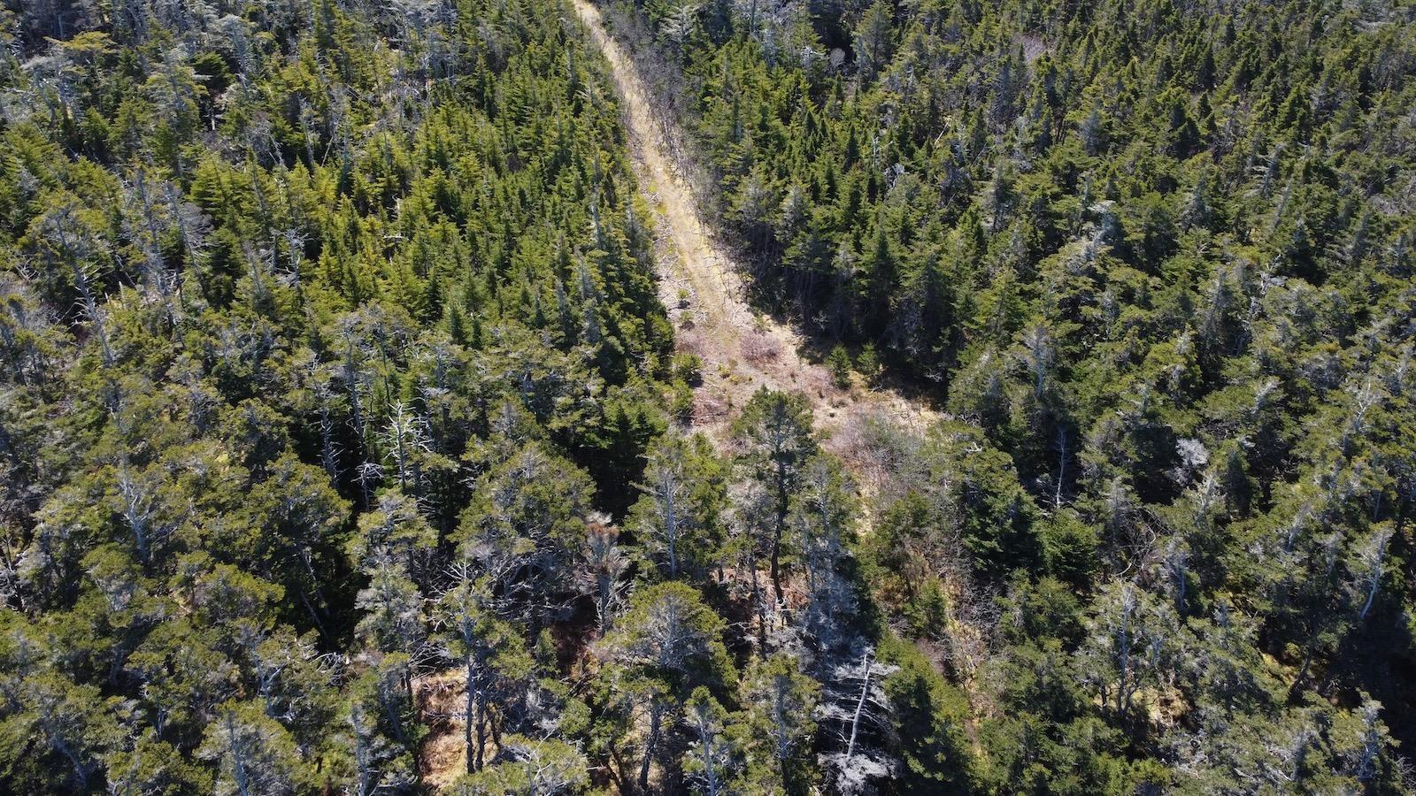 $139,900.00: Lot 7 Gerry Lane, Cape Forchu