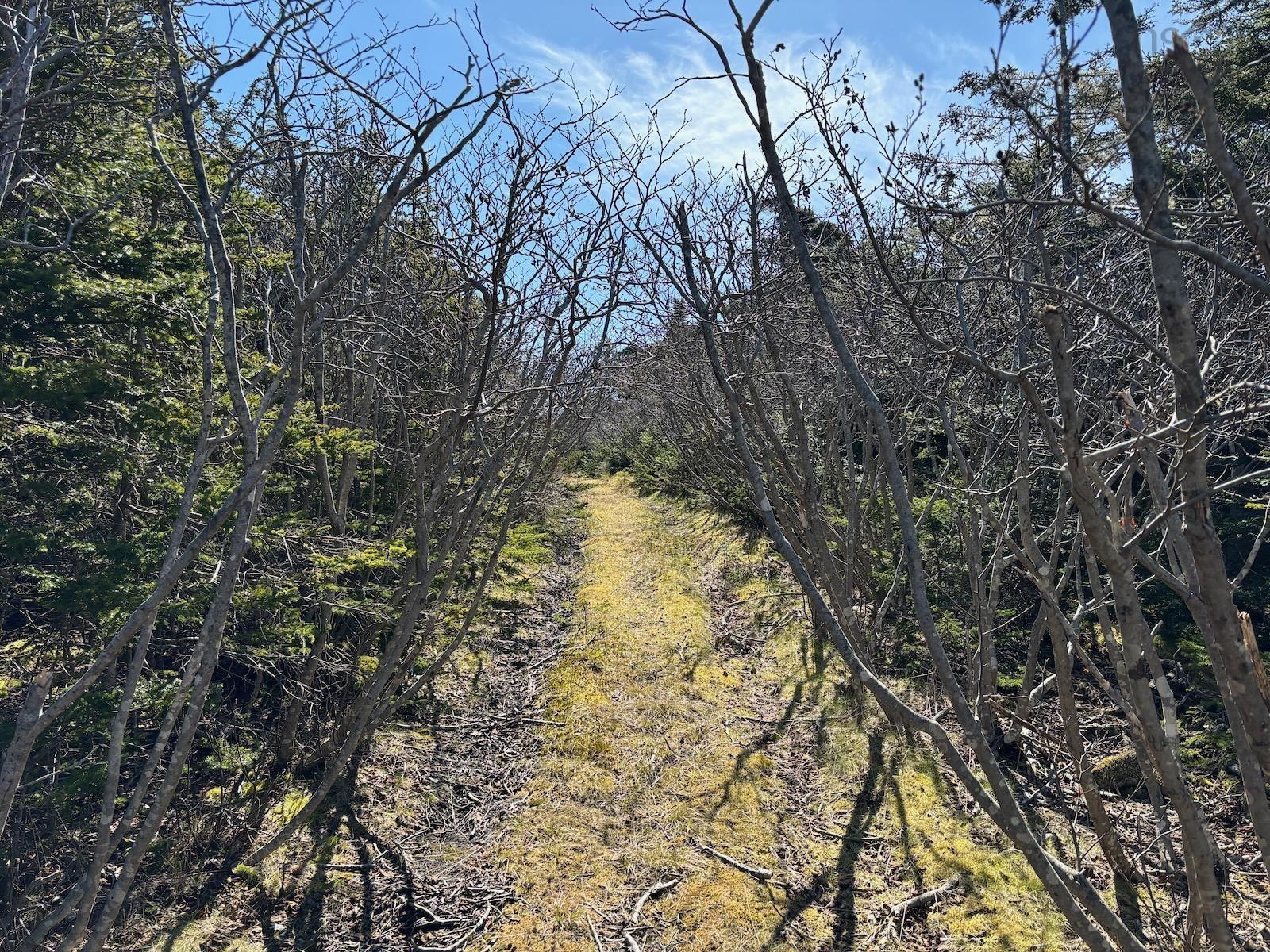 $139,900.00: Lot 7 Gerry Lane, Cape Forchu
