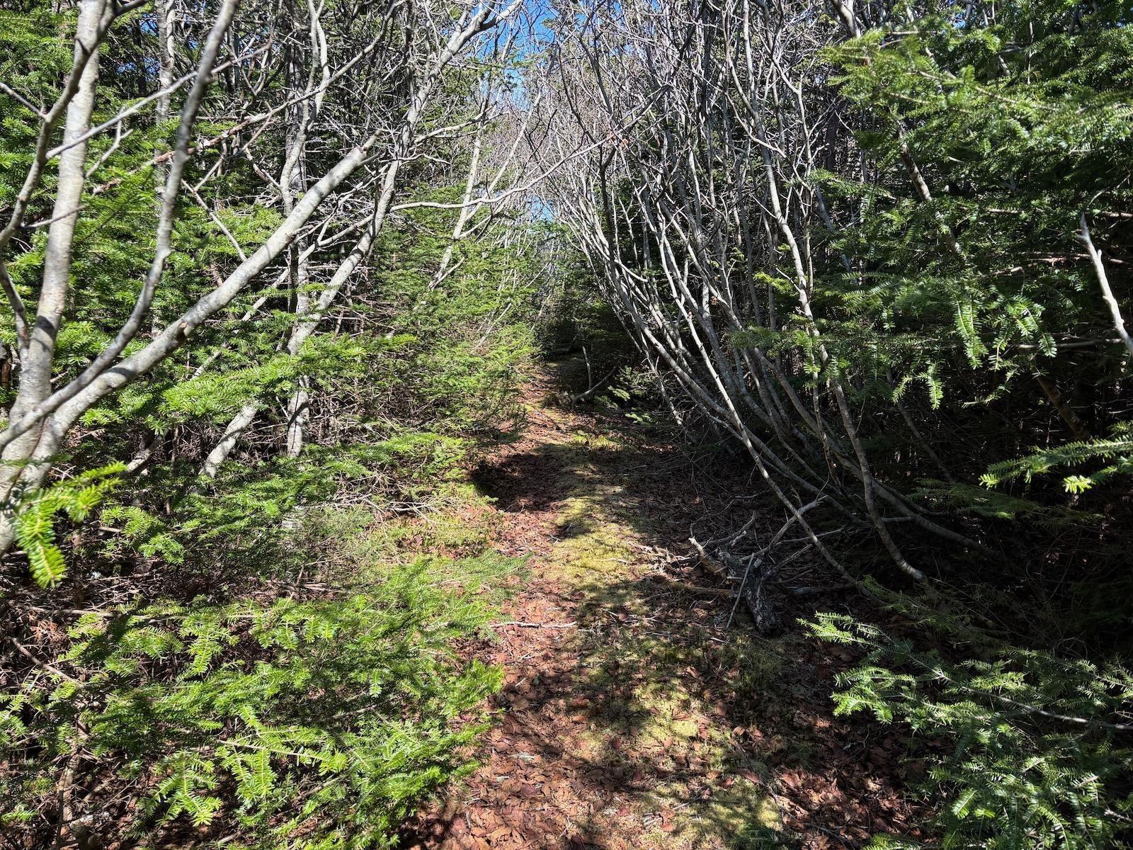 $139,900.00: Lot 7 Gerry Lane, Cape Forchu