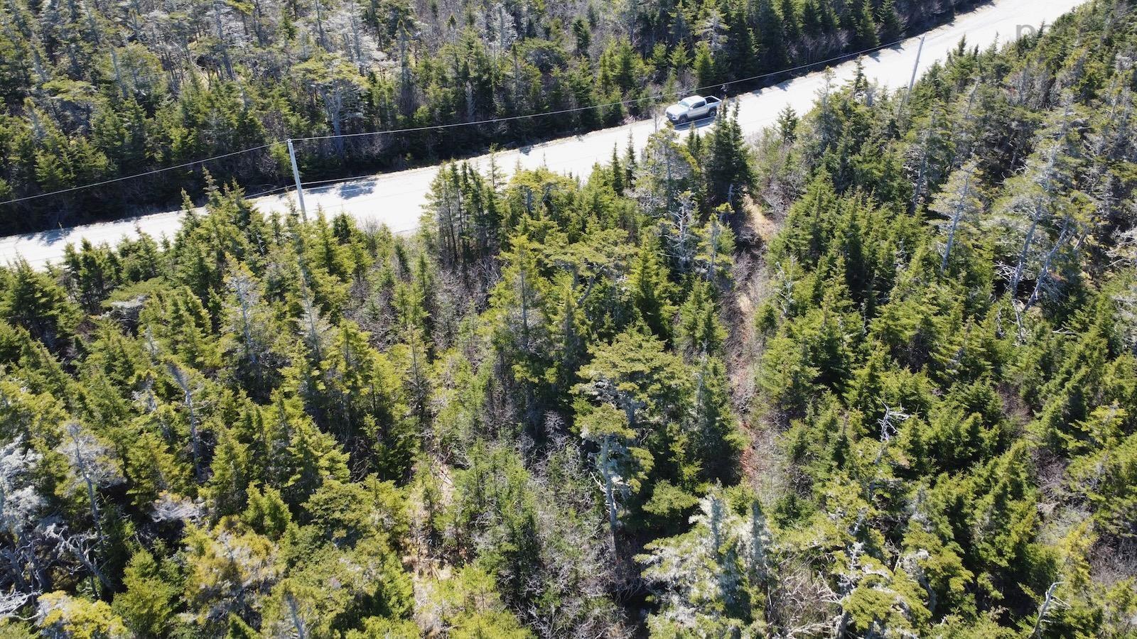 $139,900.00: Lot 7 Gerry Lane, Cape Forchu