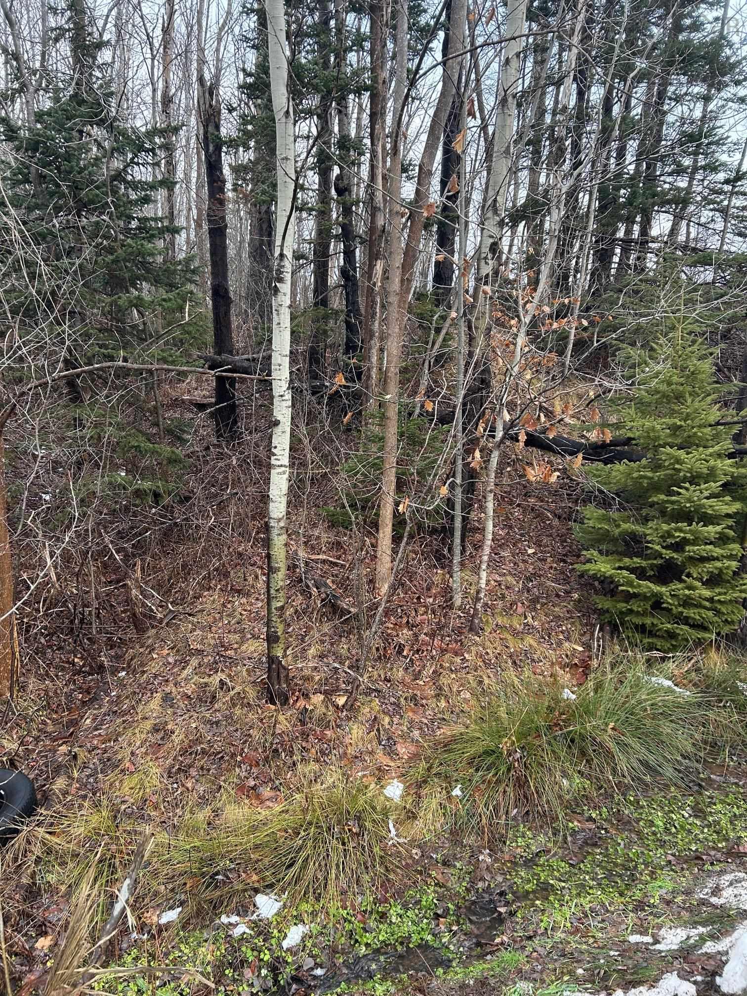 $24,990.00: Lot Beeches Road, Bay View
