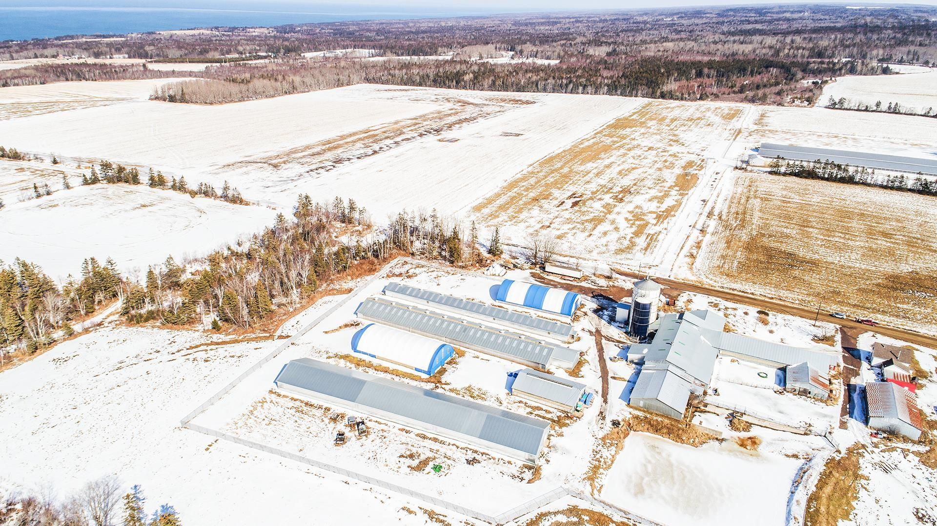 $375,000.00: 1871 Dodge Road, Forest Glade