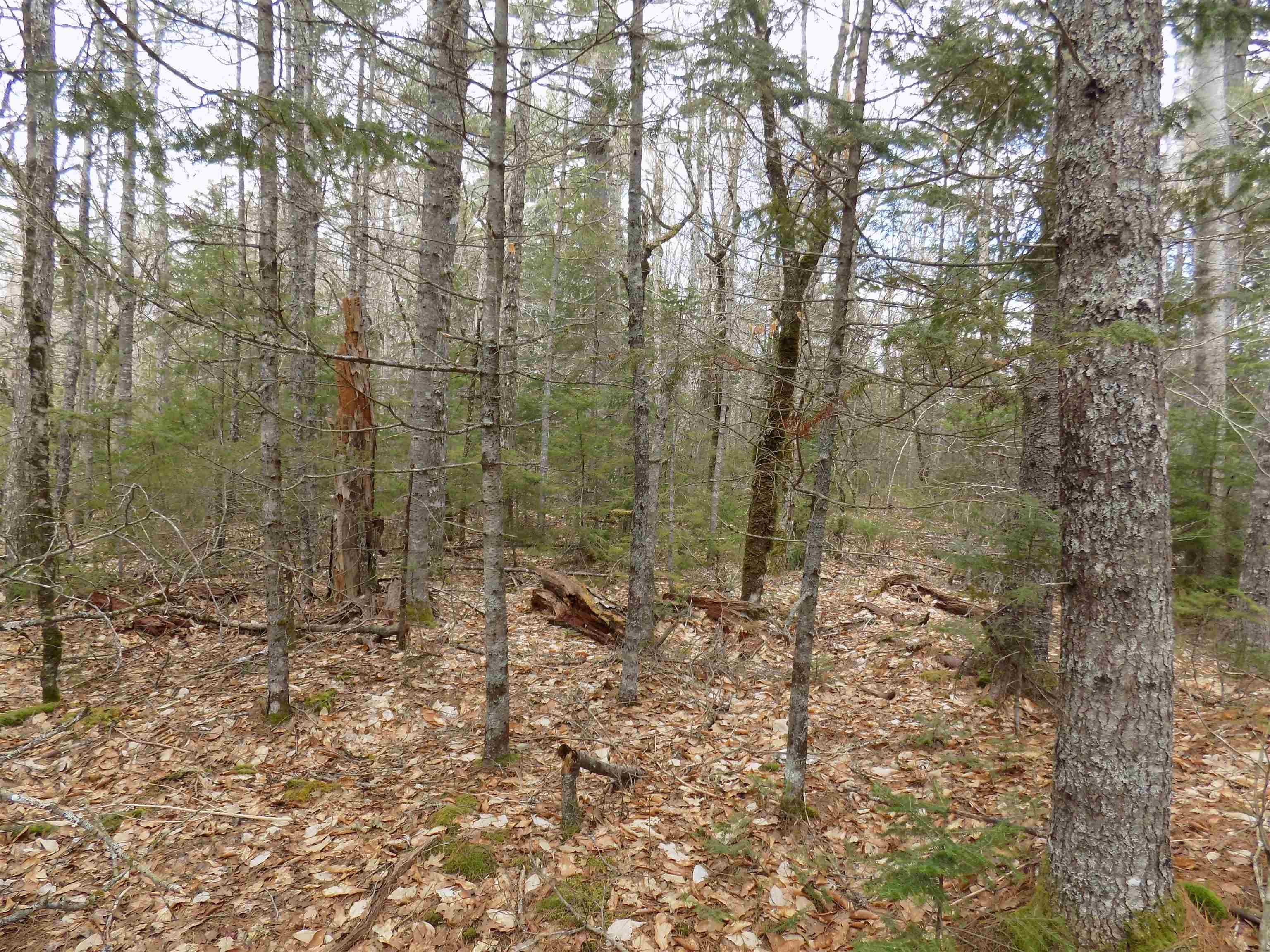 $50,000.00: Lot 12 Christopher Road, Whiteburn Mines