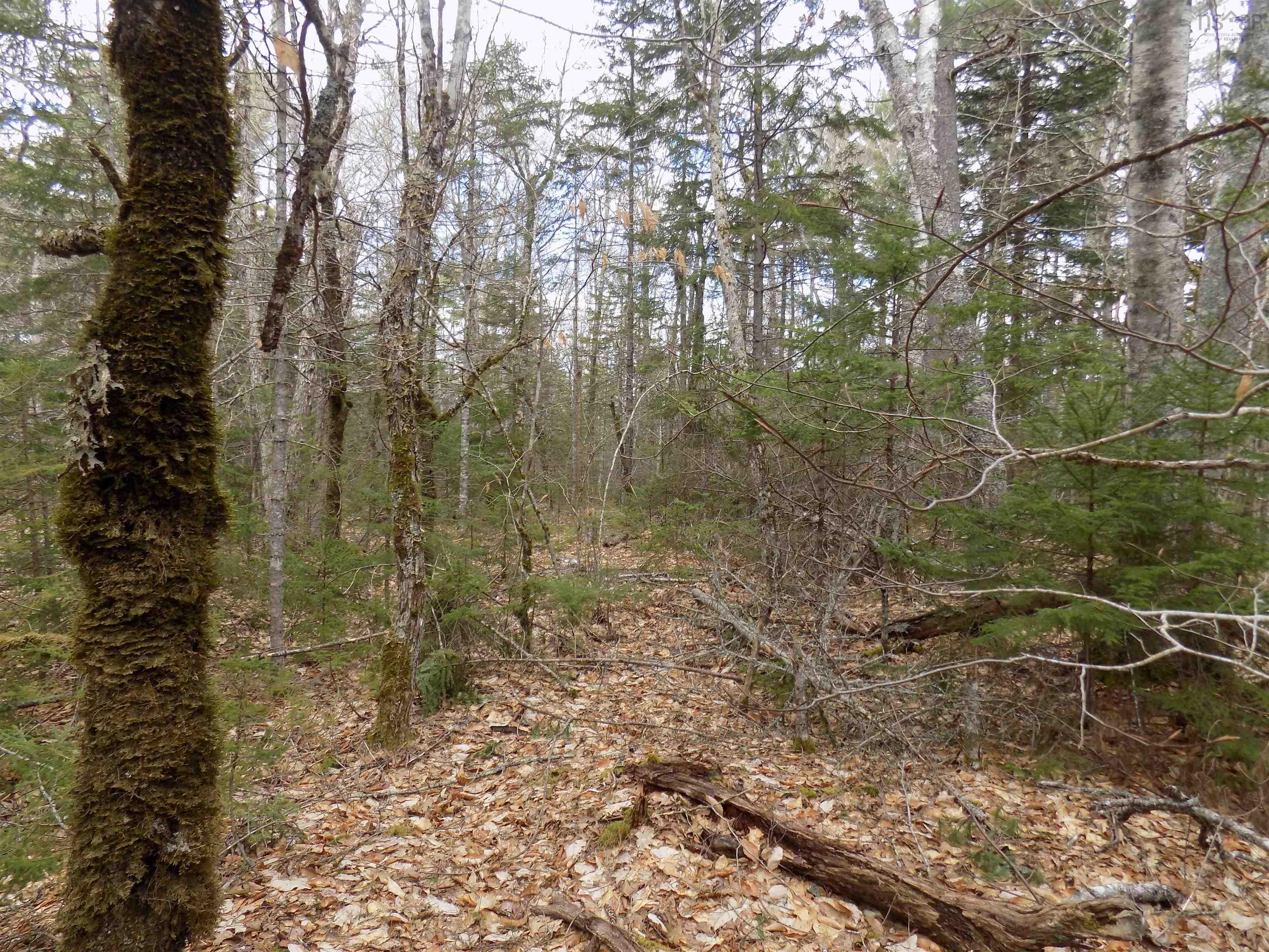 $50,000.00: Lot 12 Christopher Road, Whiteburn Mines