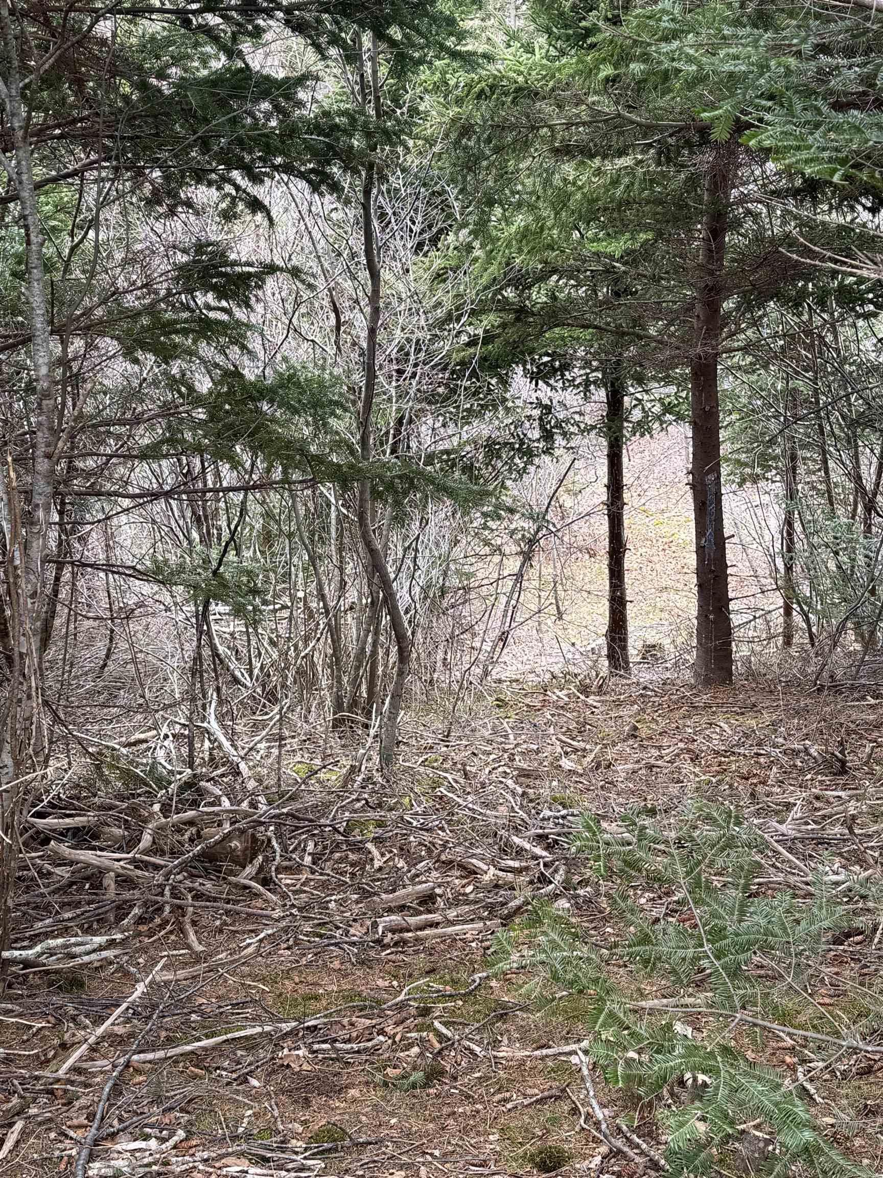 $69,900.00: 0 Highway 16, Peas Brook