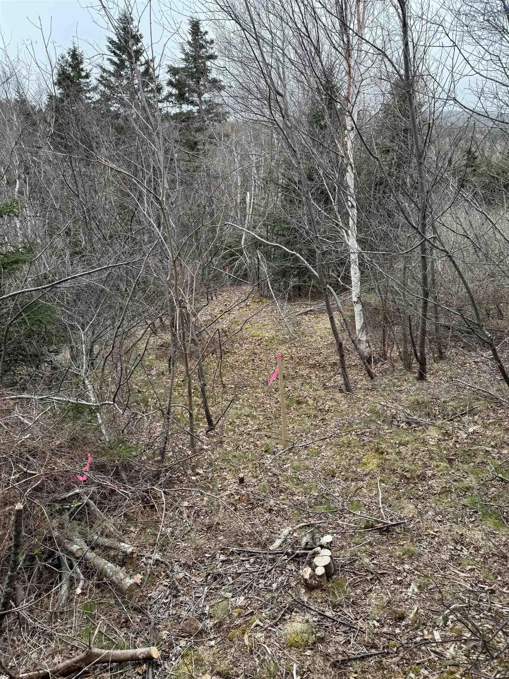 $69,900.00: 0 Highway 16, Peas Brook