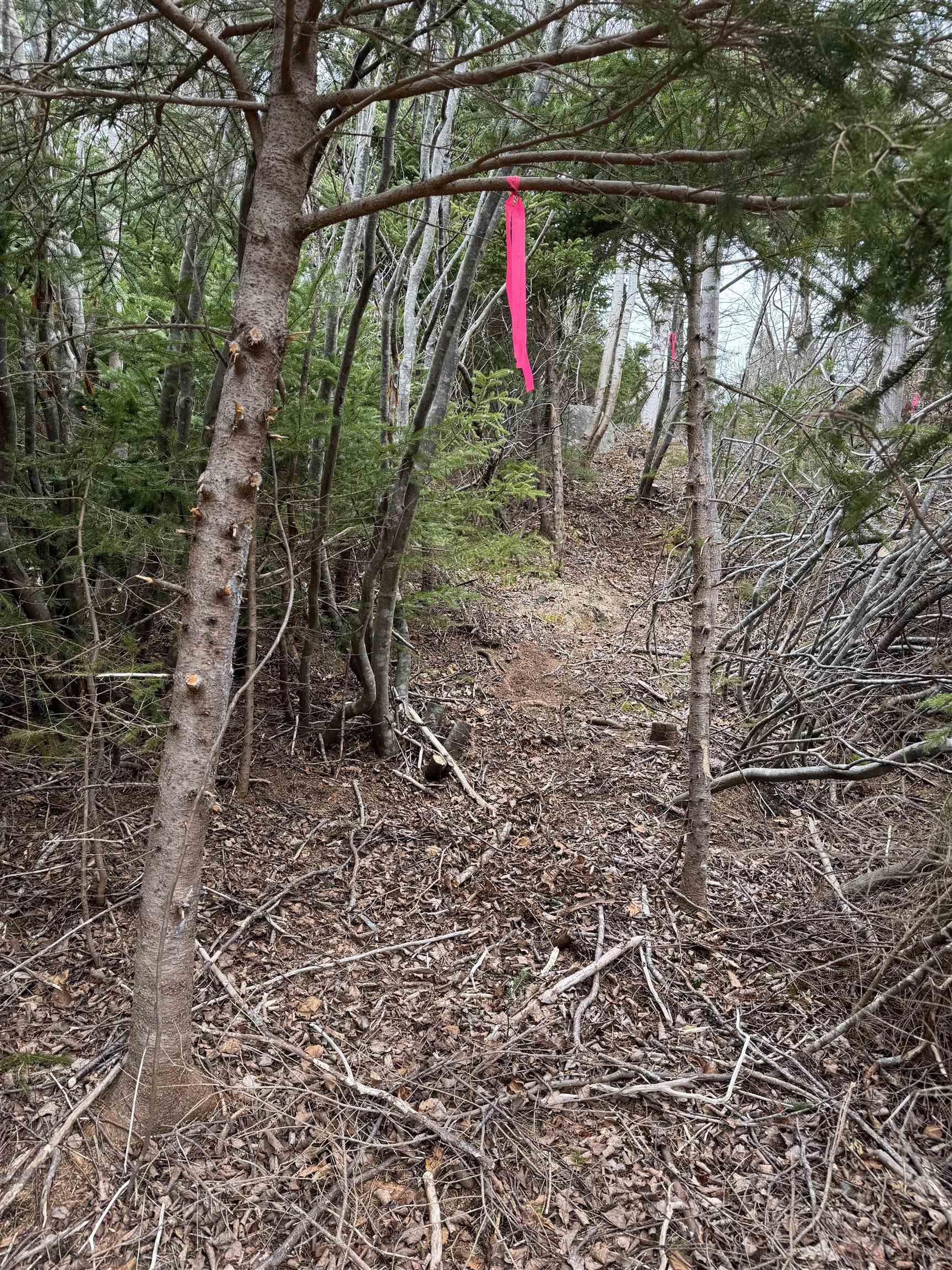 $69,900.00: 0 Highway 16, Peas Brook