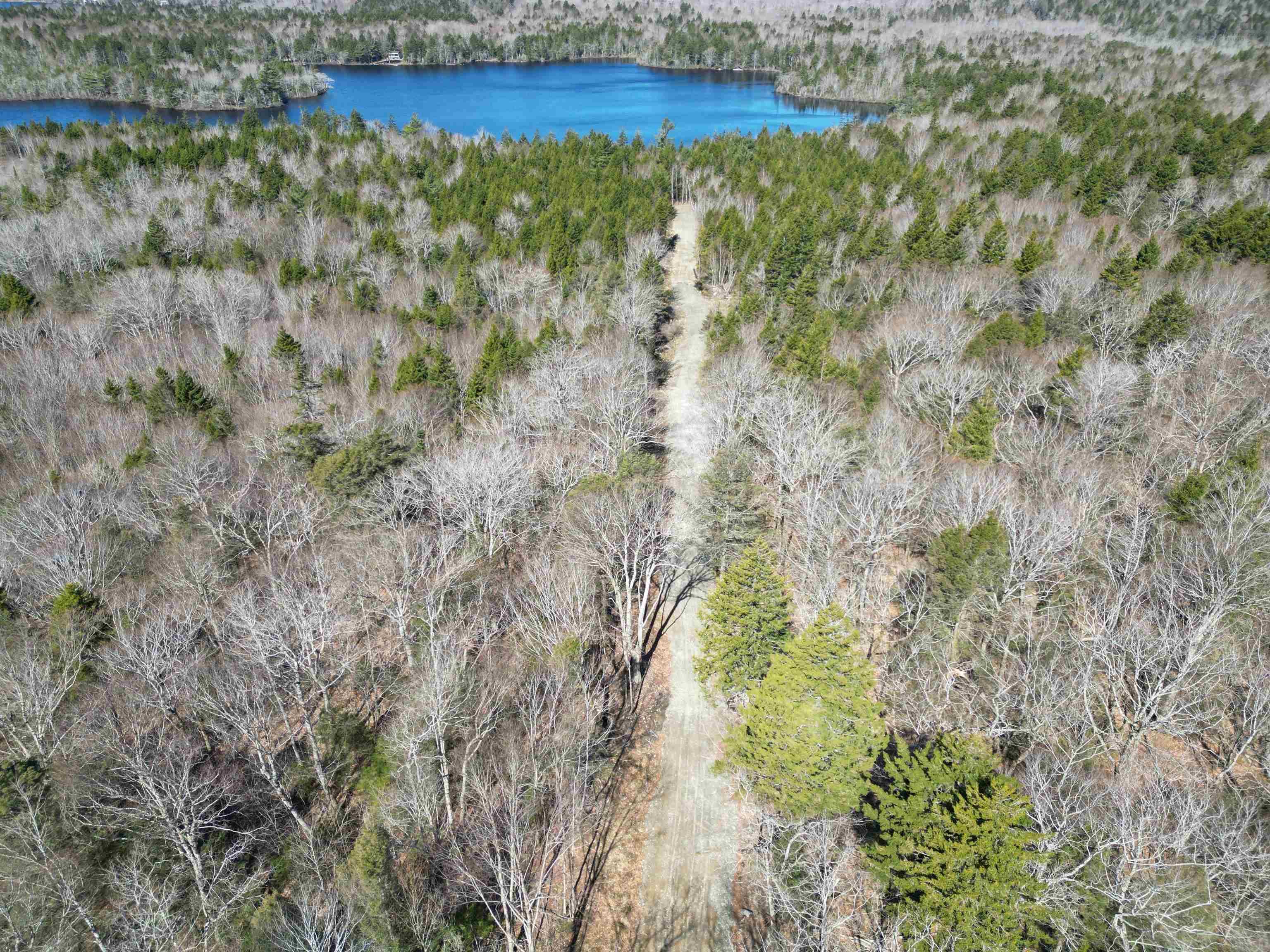 $45,000.00: Lot Second Division Road, Margo