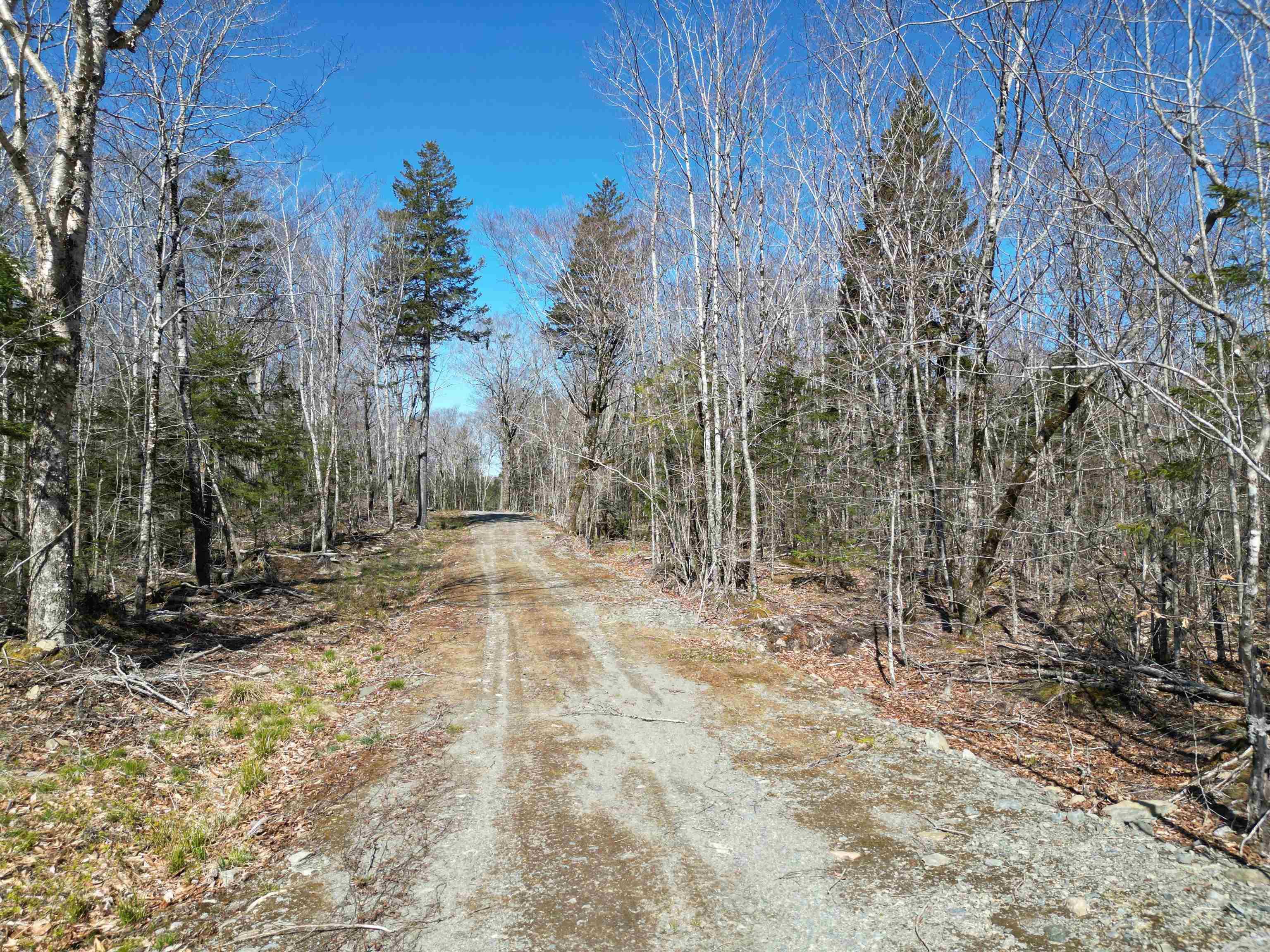 $45,000.00: Lot Second Division Road, Margo