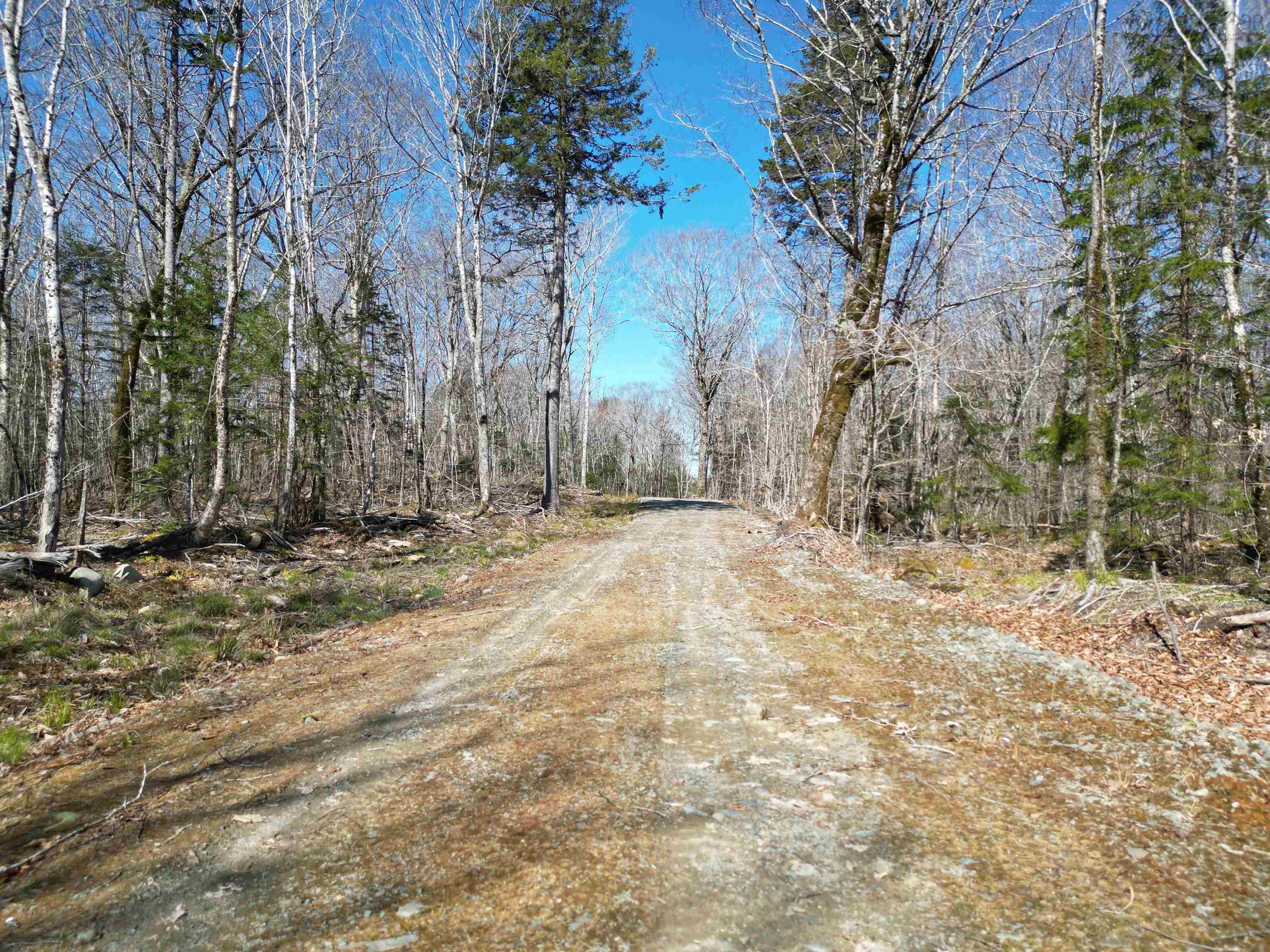 $45,000.00: Lot Second Division Road, Margo
