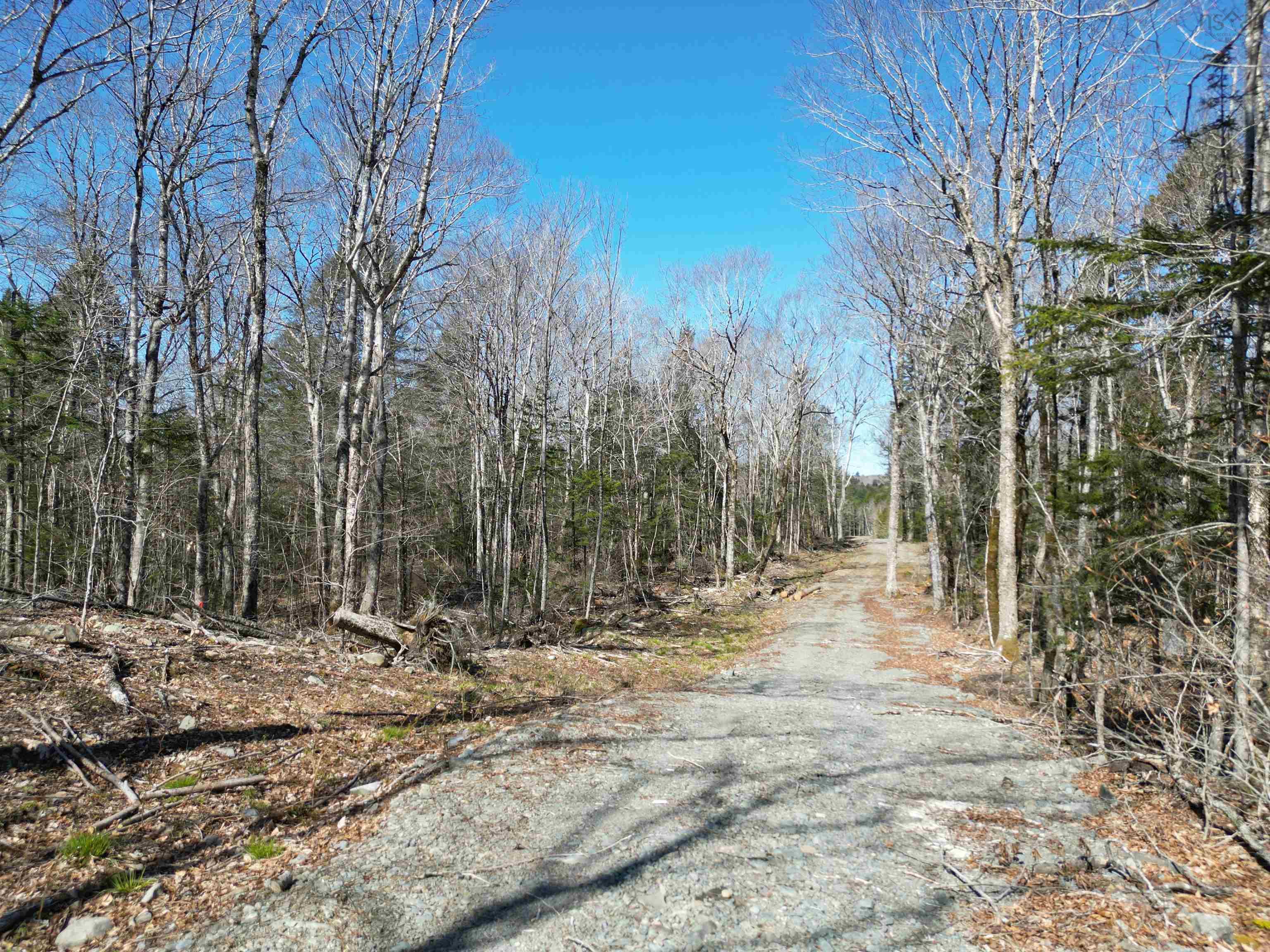 $45,000.00: Lot Second Division Road, Margo