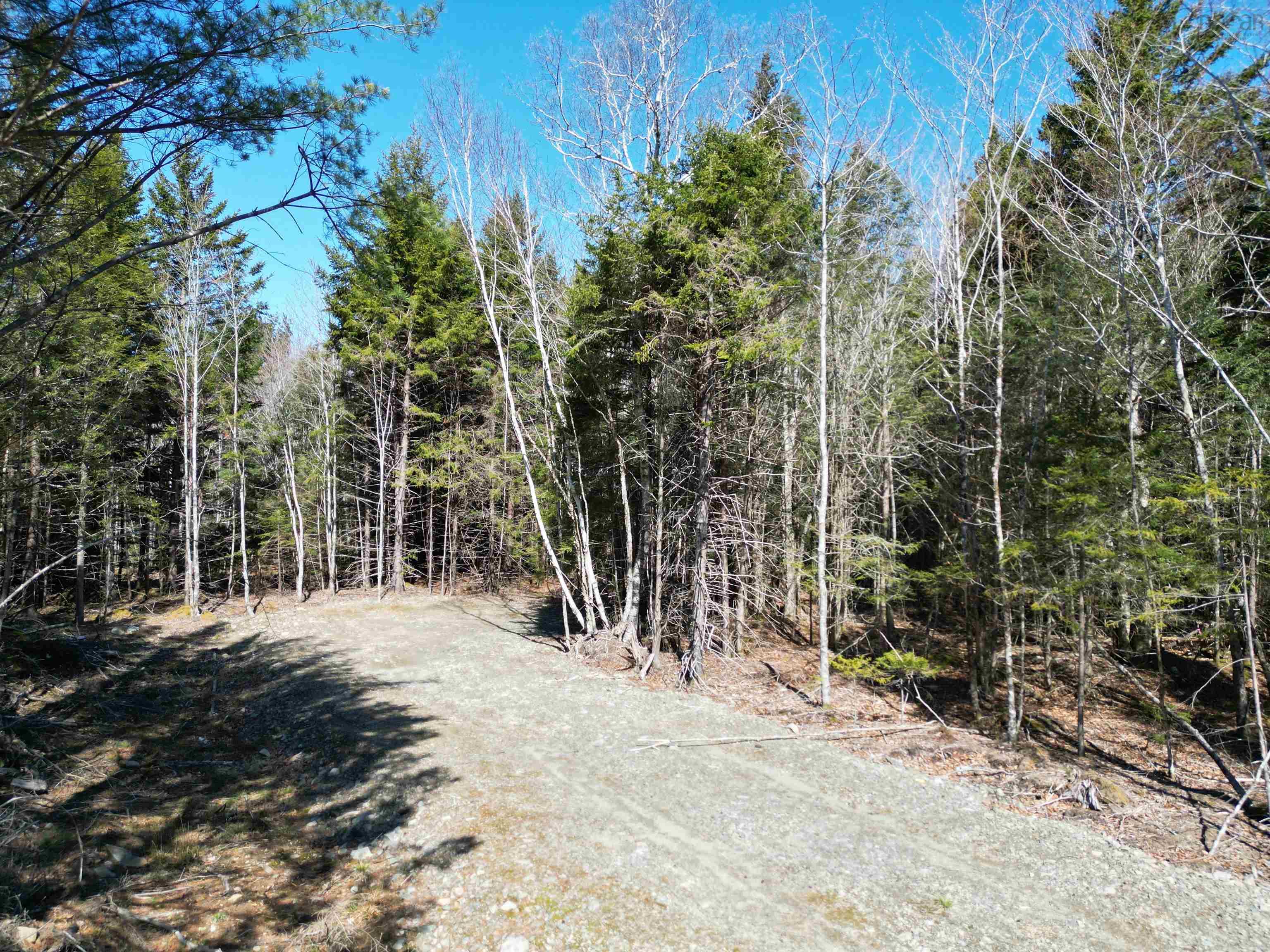 $45,000.00: Lot Second Division Road, Margo