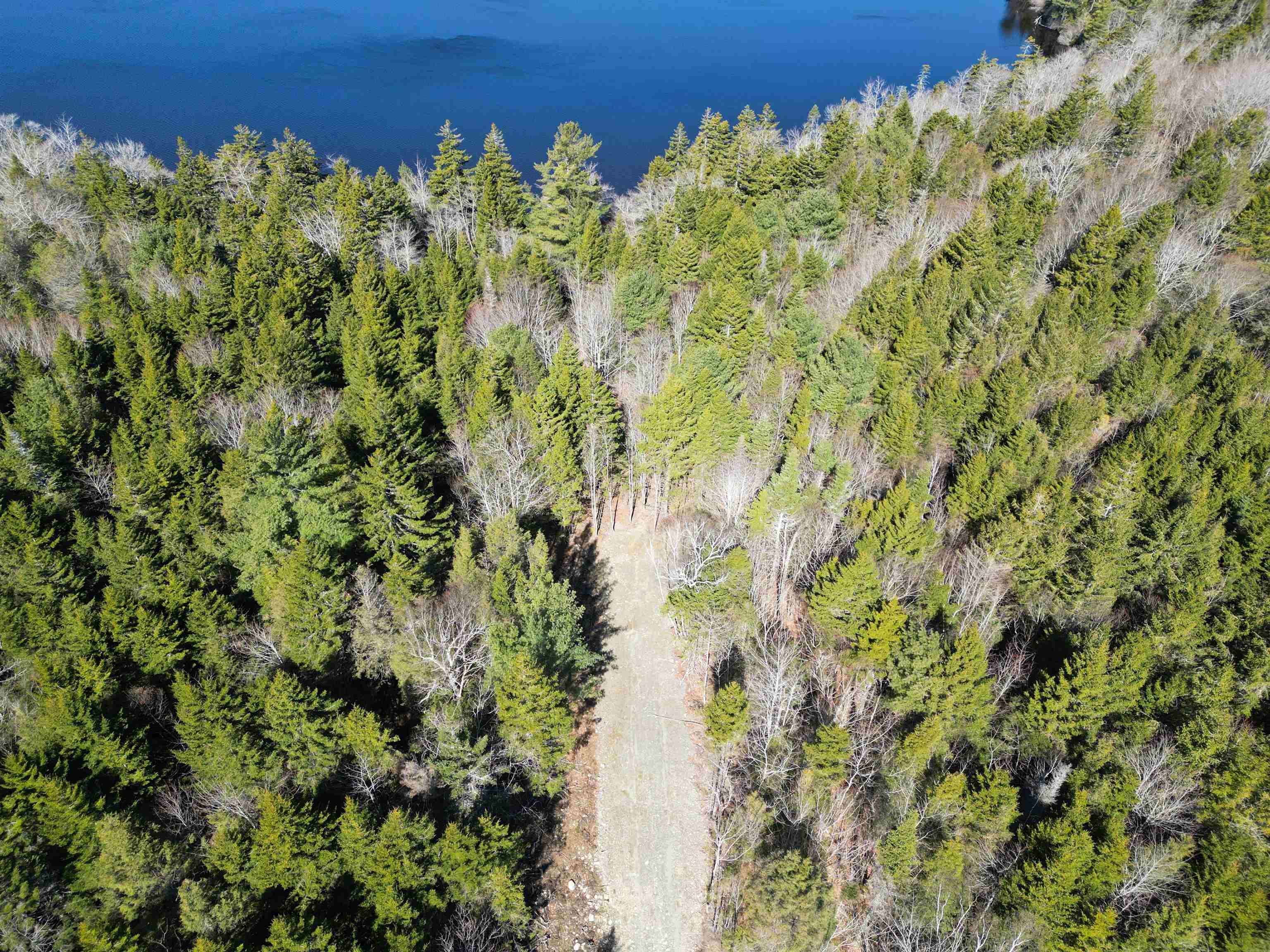 $45,000.00: Lot Second Division Road, Margo