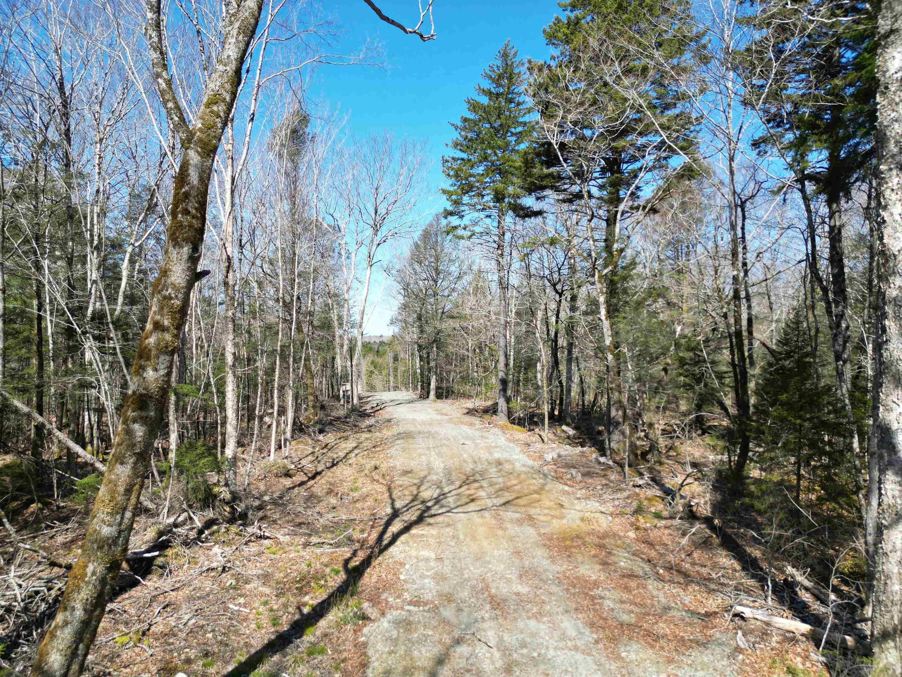 $45,000.00: Lot Second Division Road, Margo