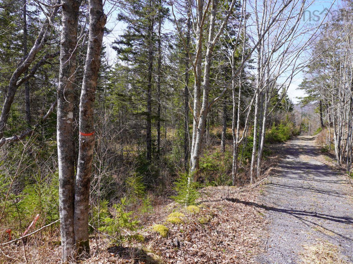 $1,250,000.00: 1,6-8,10,12-17 48/74 Jack Daniels Lane, Juniper Mountain