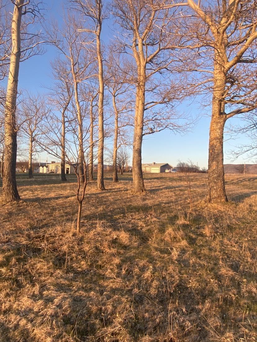$75,000.00: Lot 5 Cabot Trail, Chéticamp