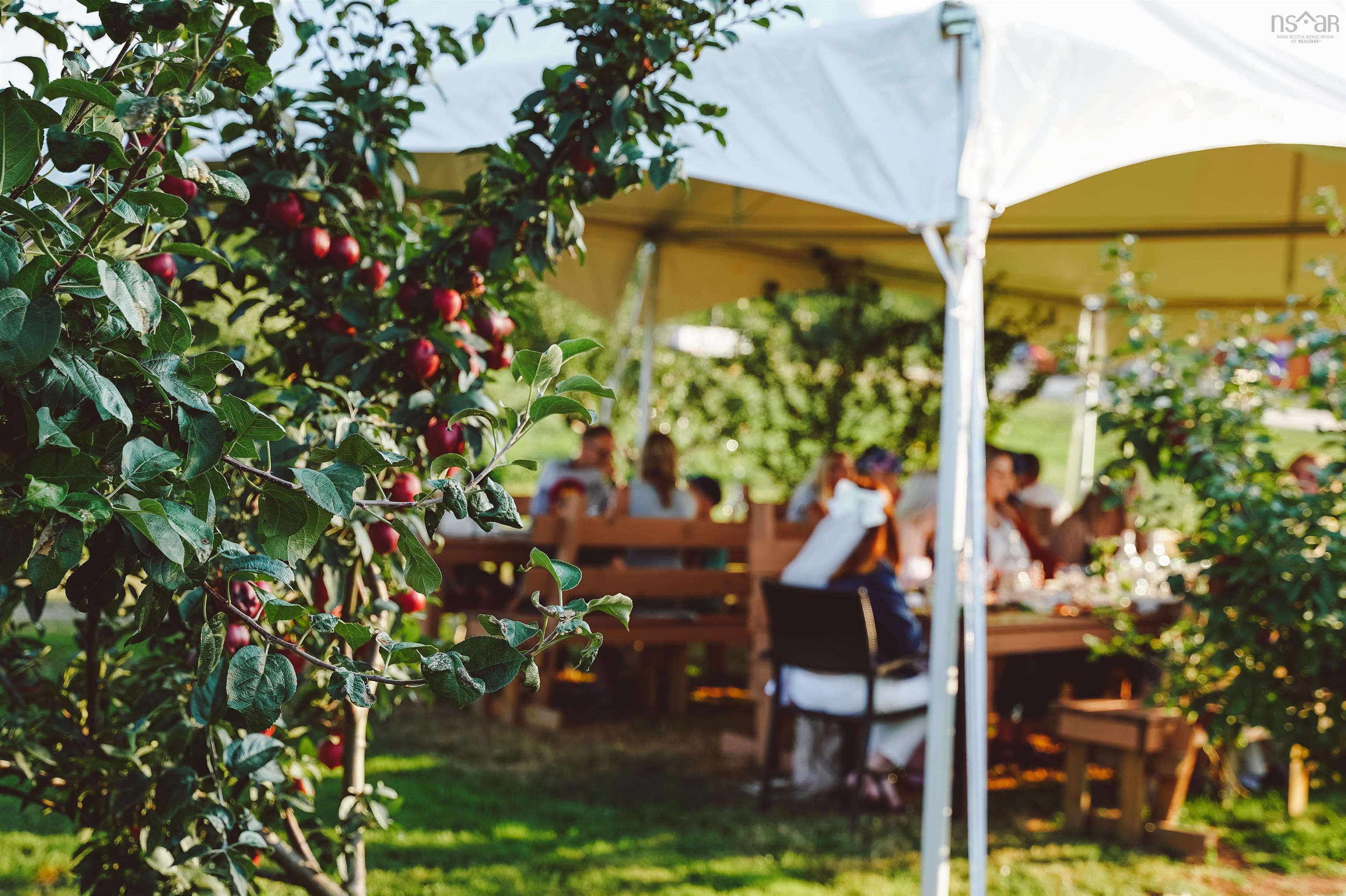 $1,100,000.00: 4495 14 Highway, Windsor Forks