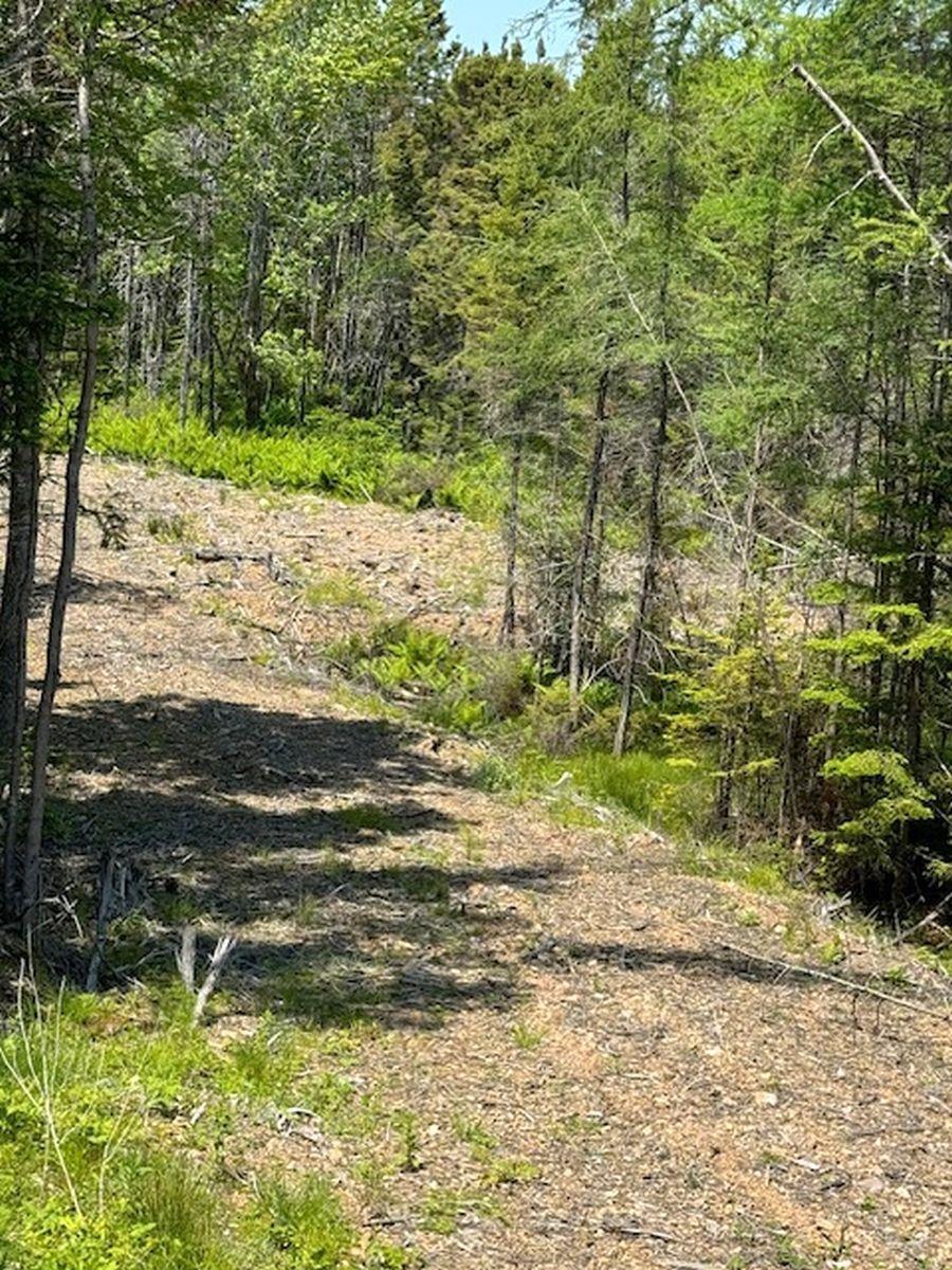 $188,000.00: Lot 4 Grandique Road, Arichat