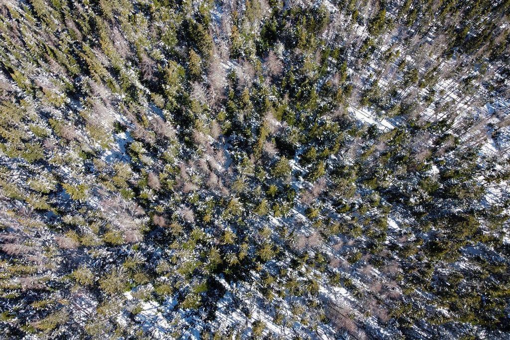 $249,000.00: ... Convent Street, Port Hood