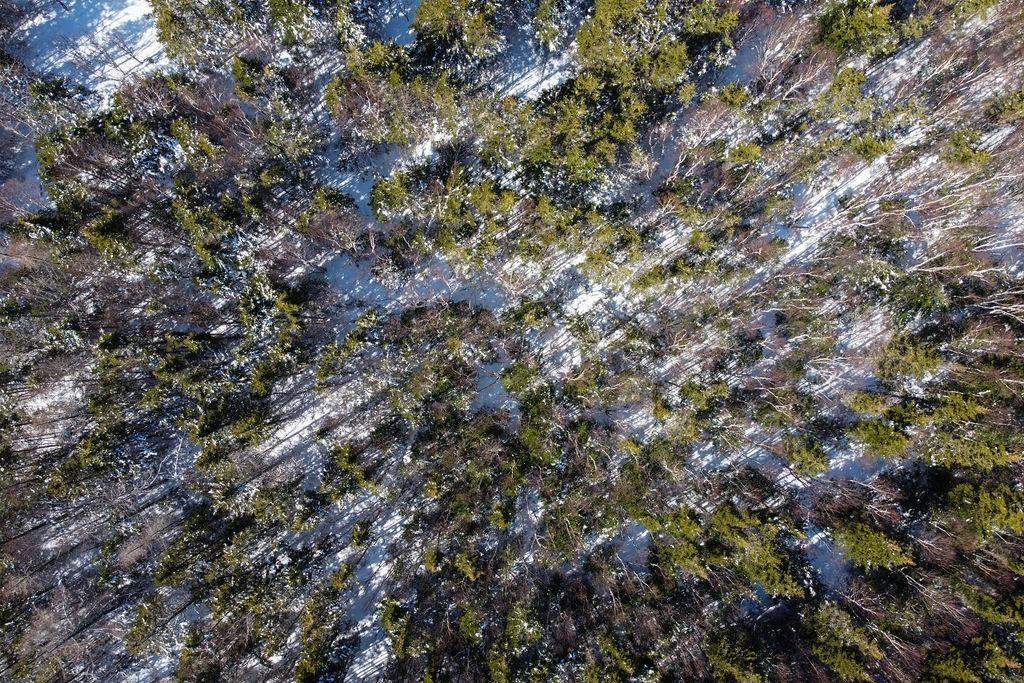 $249,000.00: ... Convent Street, Port Hood