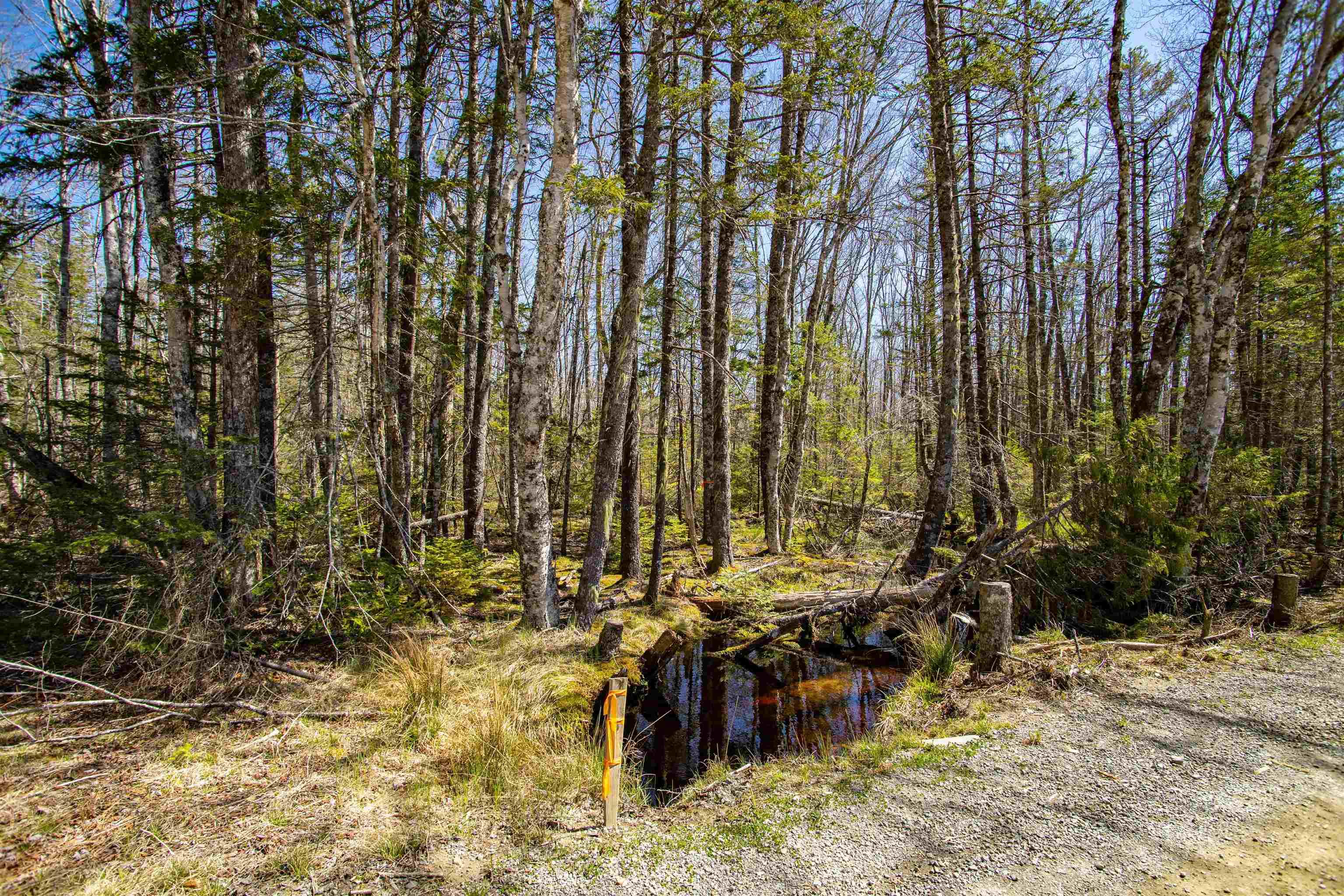 $20,000.00: Lot 50N Secret Road, Briar Lake