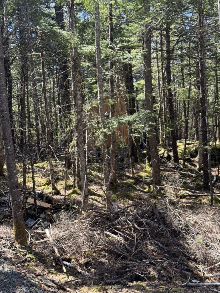 $56,000.00: Lot 66 Summit Ridge Road, Windsor