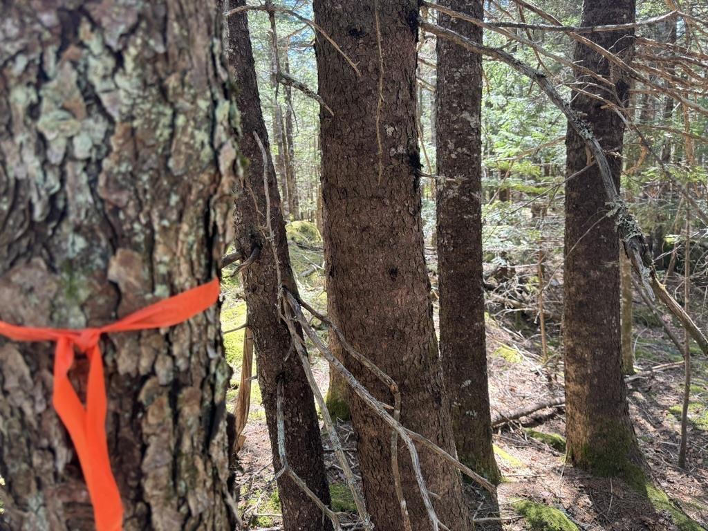 $56,000.00: Lot 66 Summit Ridge Road, Windsor
