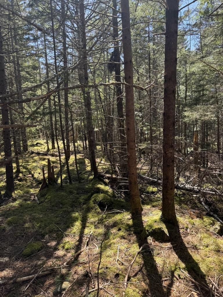 $56,000.00: Lot 66 Summit Ridge Road, Windsor