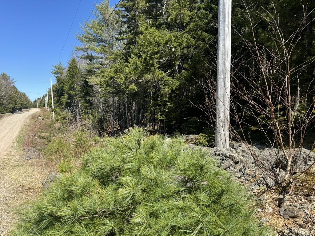 $56,000.00: Lot 66 Summit Ridge Road, Windsor