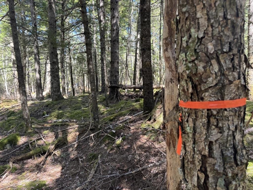 $56,000.00: Lot 66 Summit Ridge Road, Windsor
