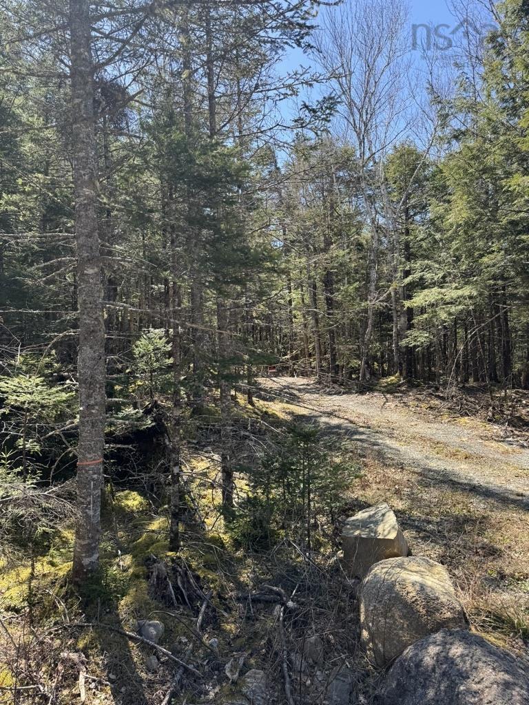 $56,000.00: Lot 66 Summit Ridge Road, Windsor