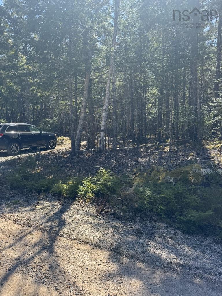 $56,000.00: Lot 66 Summit Ridge Road, Windsor