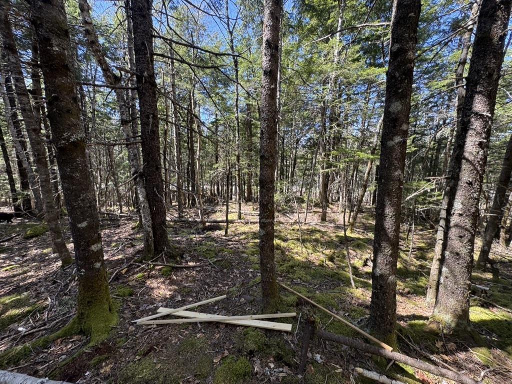 $56,000.00: Lot 66 Summit Ridge Road, Windsor