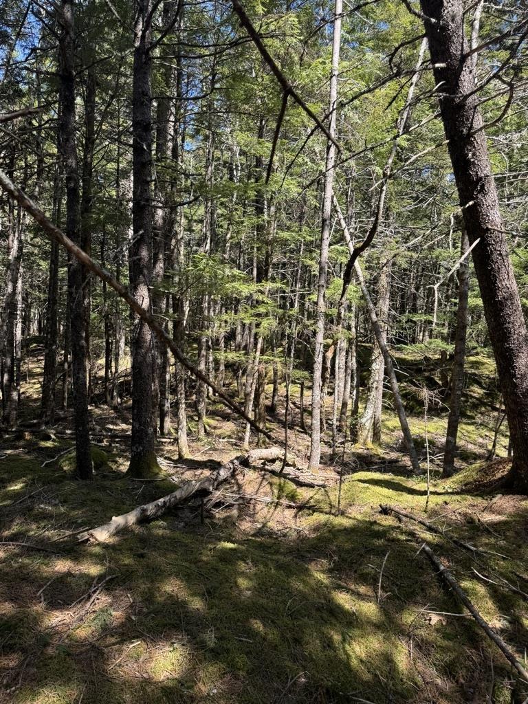 $56,000.00: Lot 66 Summit Ridge Road, Windsor