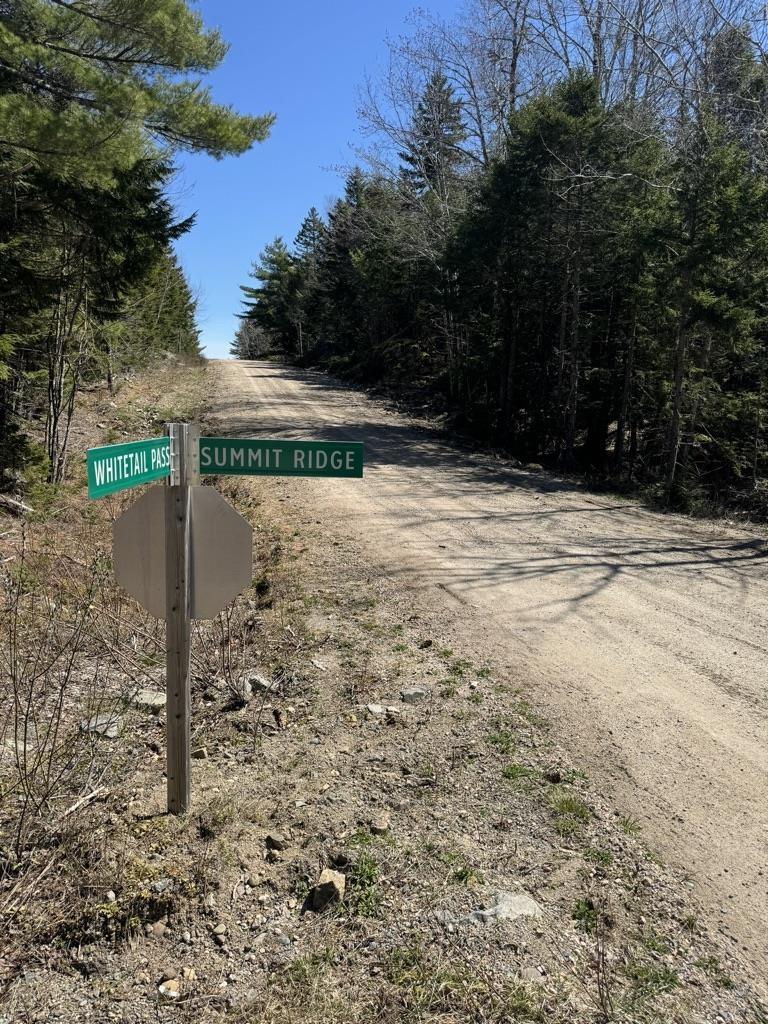 $56,000.00: Lot 66 Summit Ridge Road, Windsor