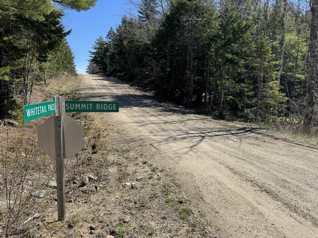 $56,000.00: Lot 66 Summit Ridge Road, Windsor